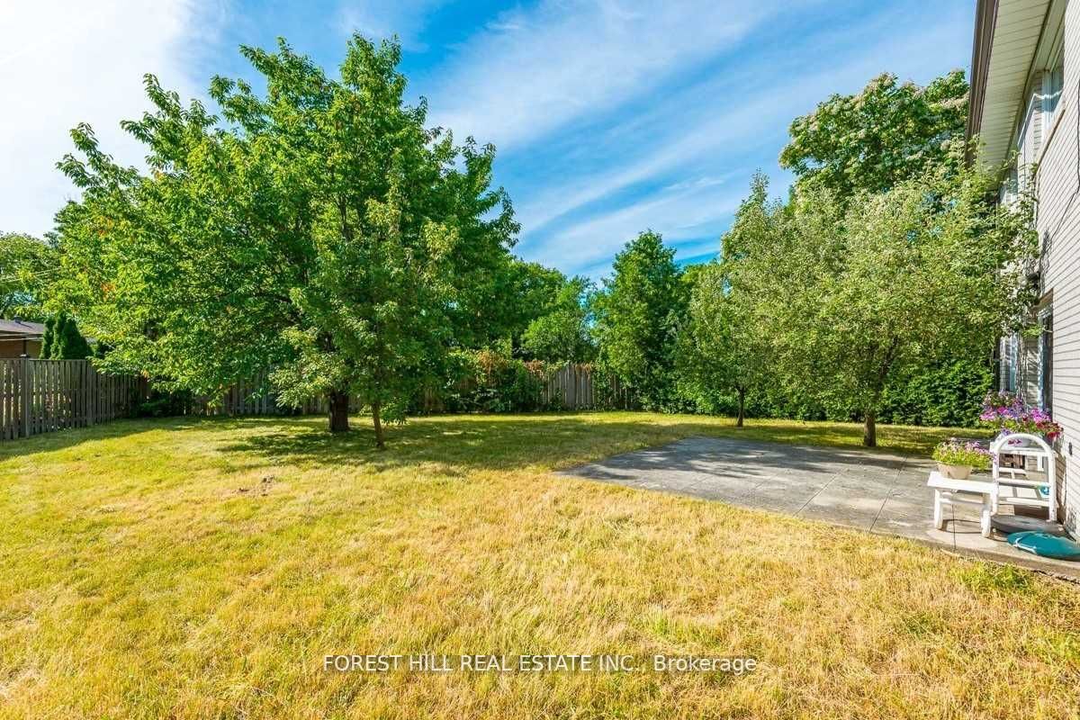 3 Tokay Crt