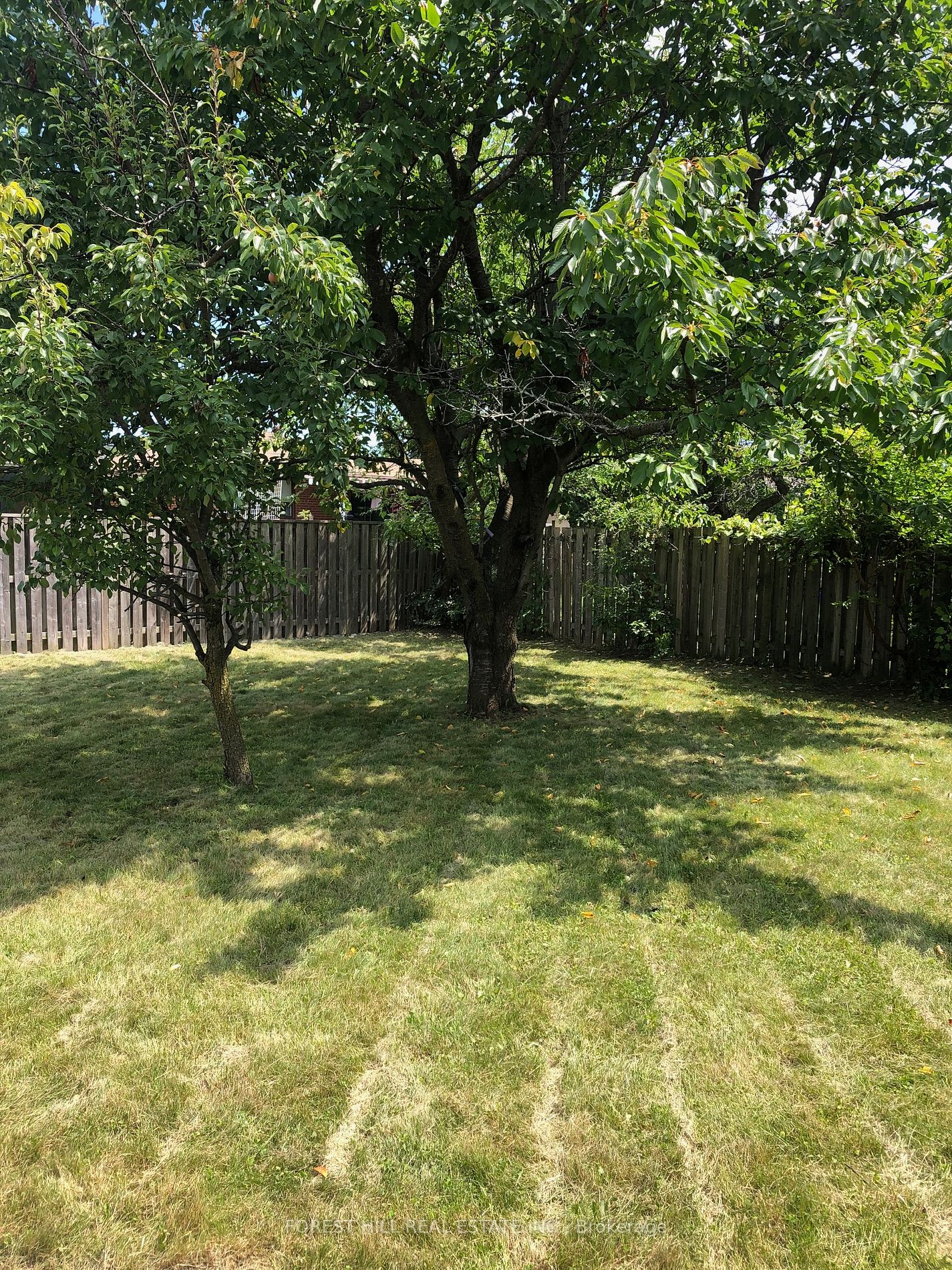 3 Tokay Crt