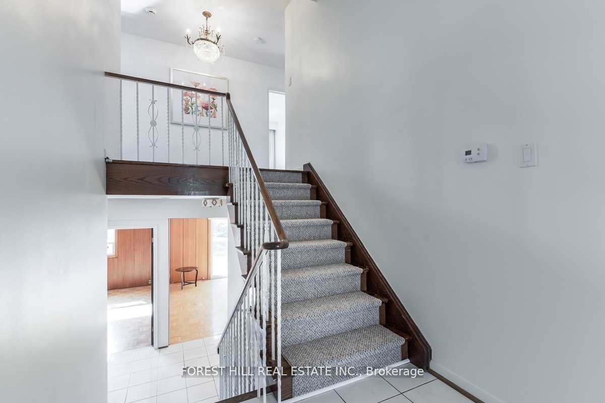 3 Tokay Crt