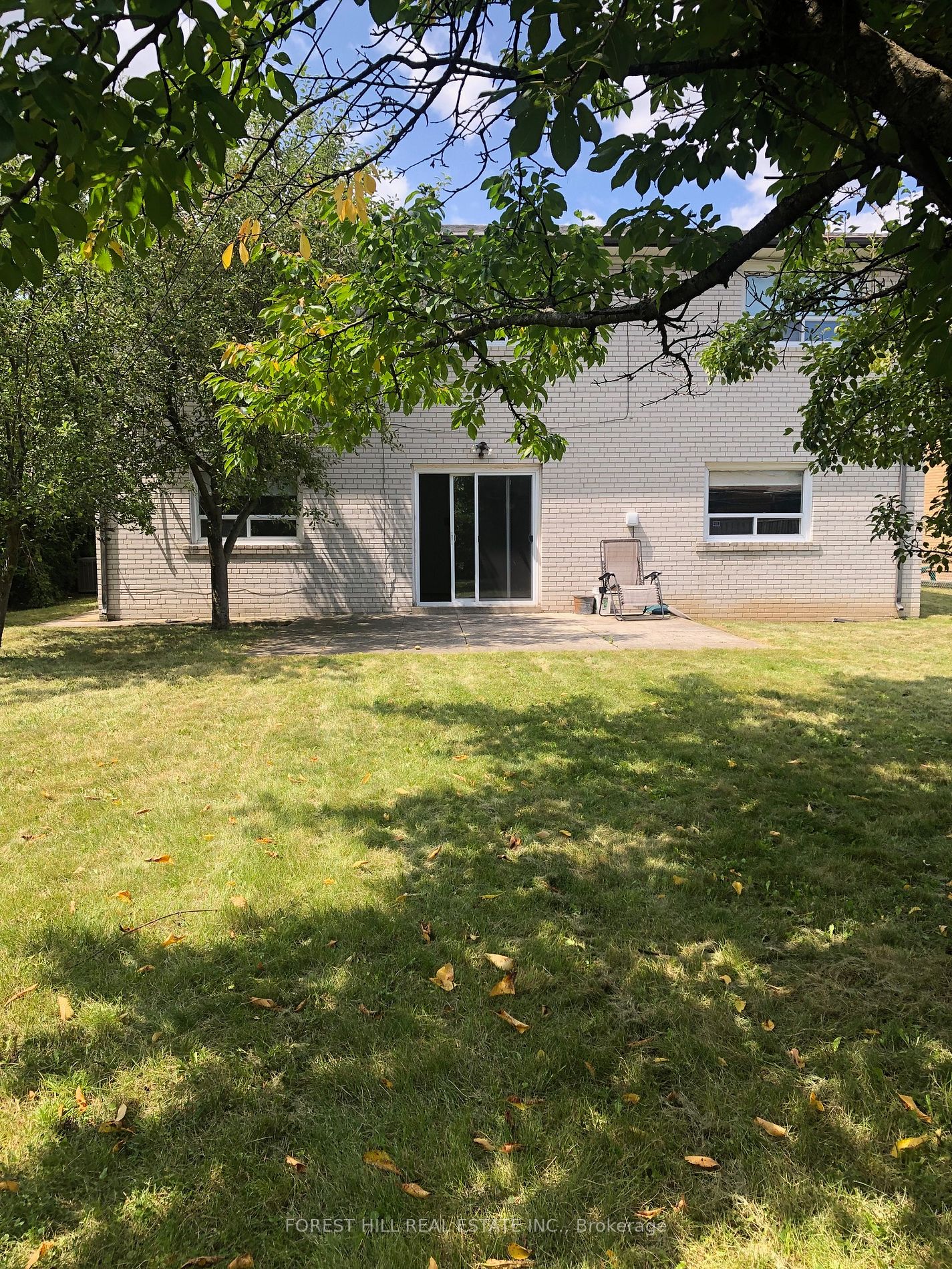 3 Tokay Crt