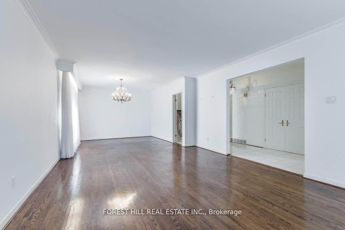 3 Tokay Crt