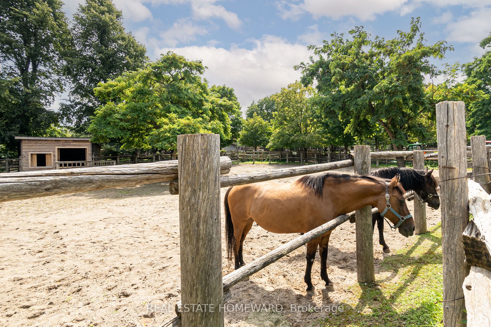 Listing C6728250 - Large Photo # 39
