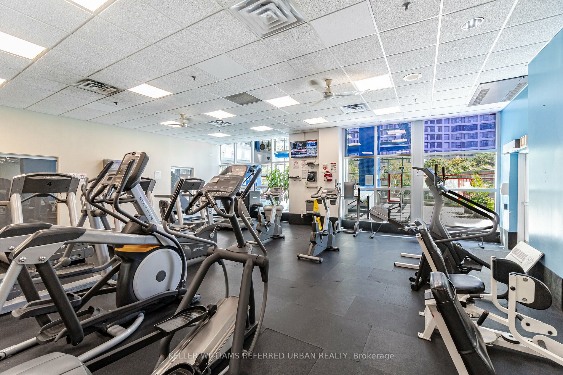 77 Harbour Sq, #502