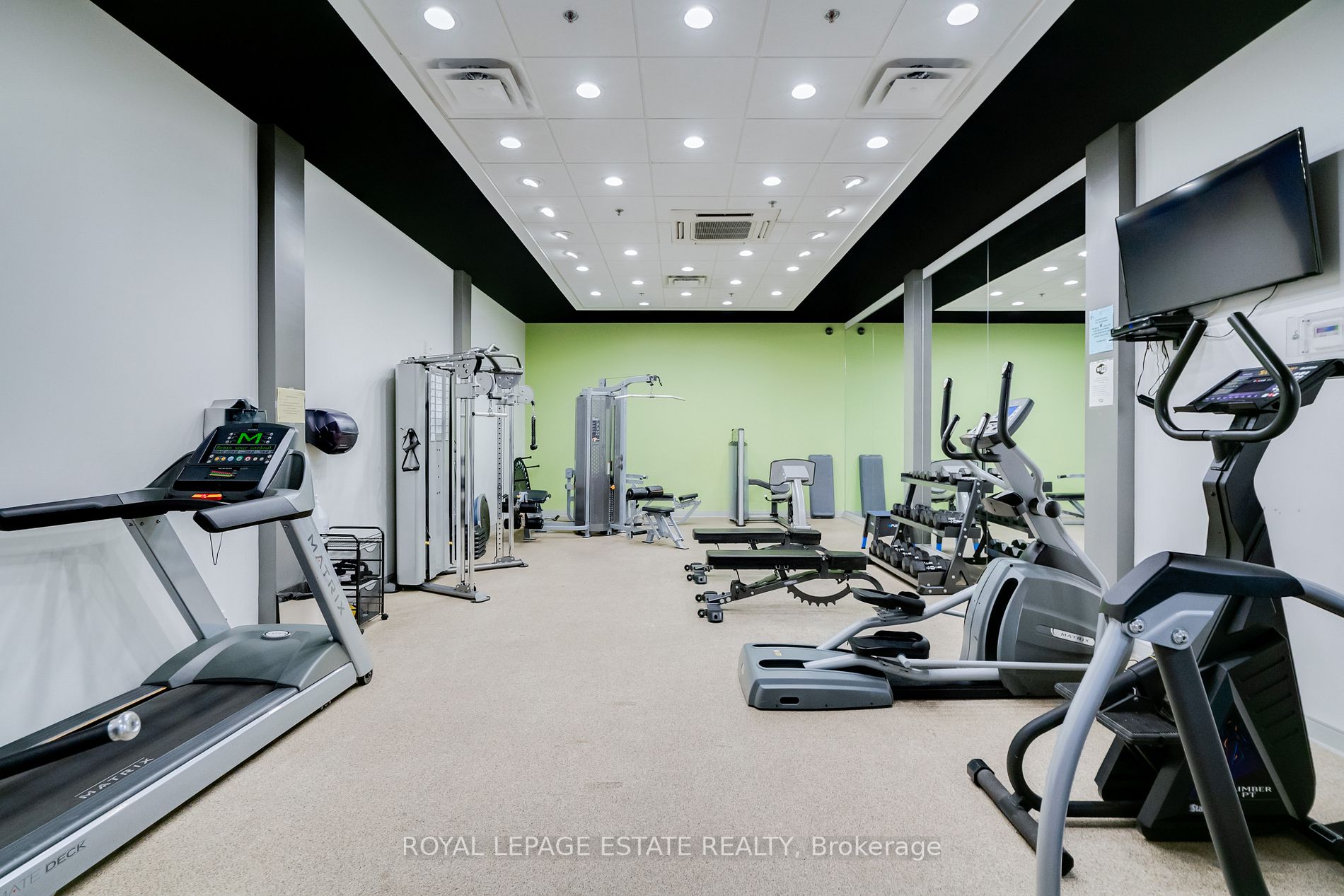 1055 Bay Street, #205