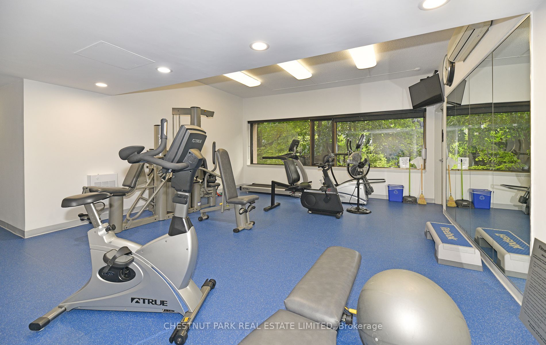 447 Walmer Rd, #308