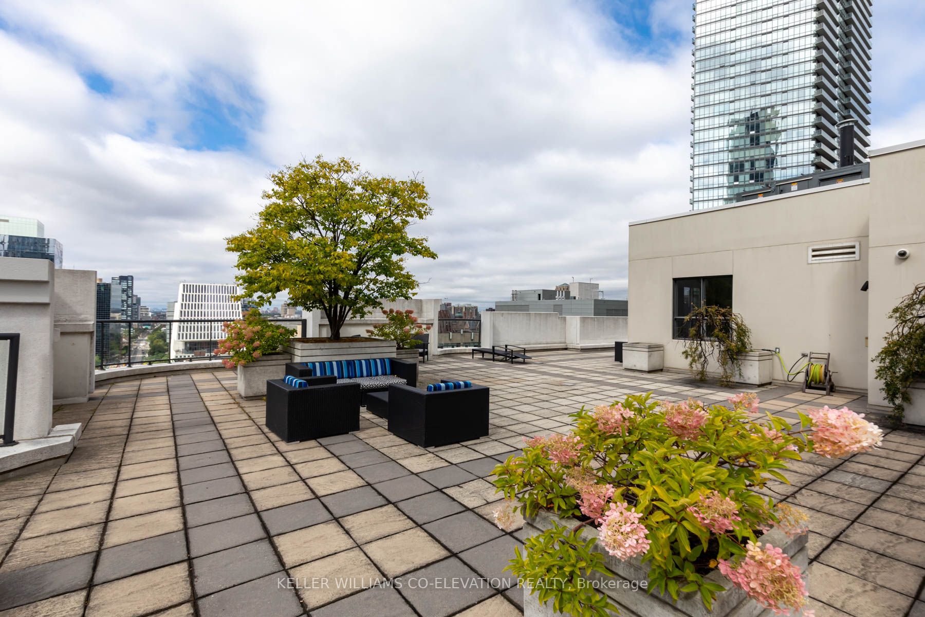 801 Bay St, #909