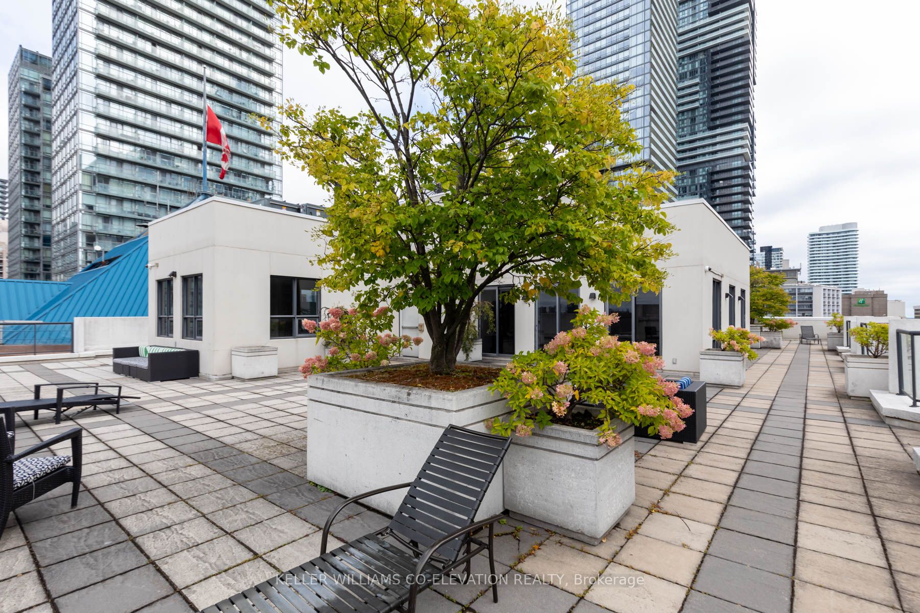 801 Bay St, #909