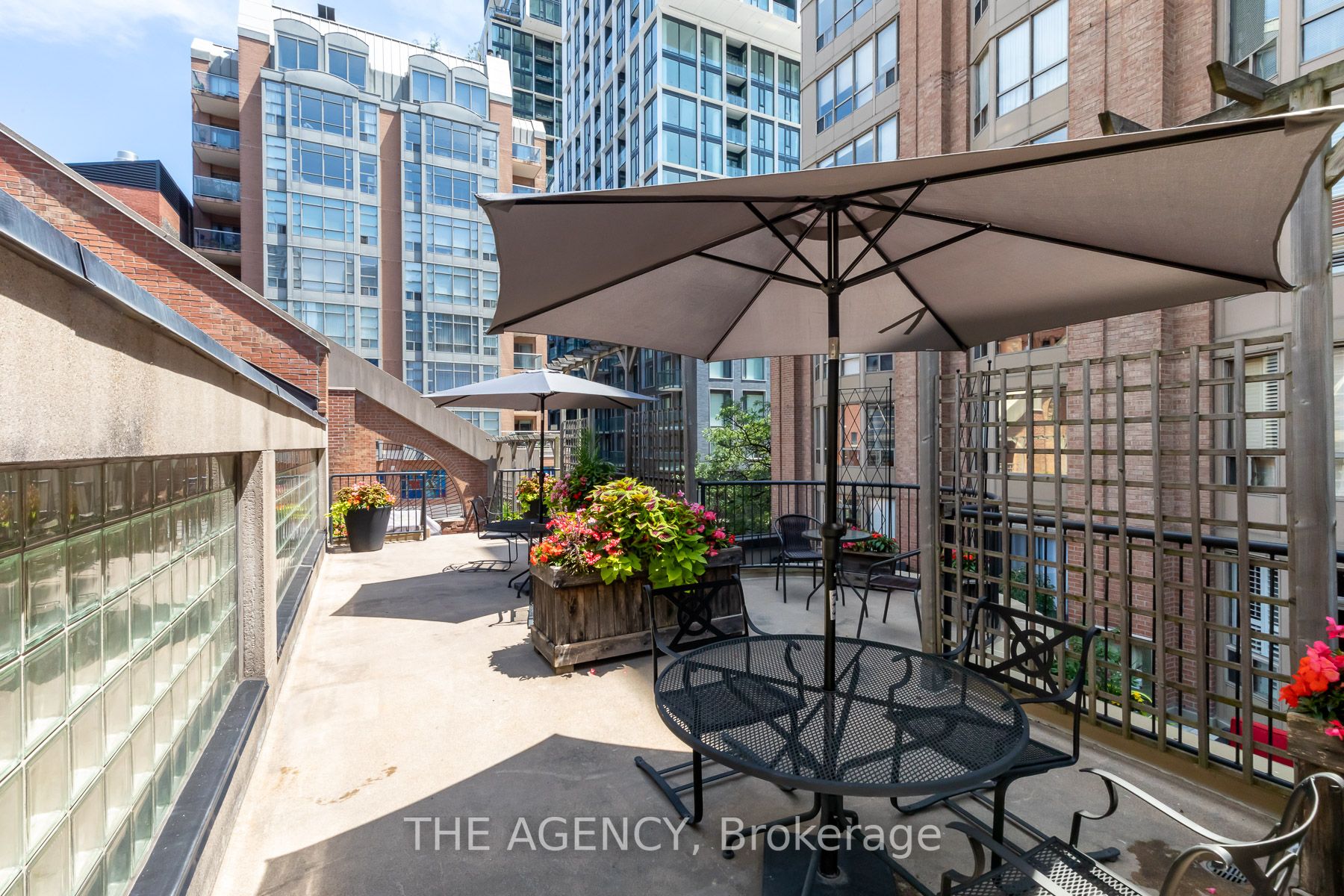 160 Frederick St, #803