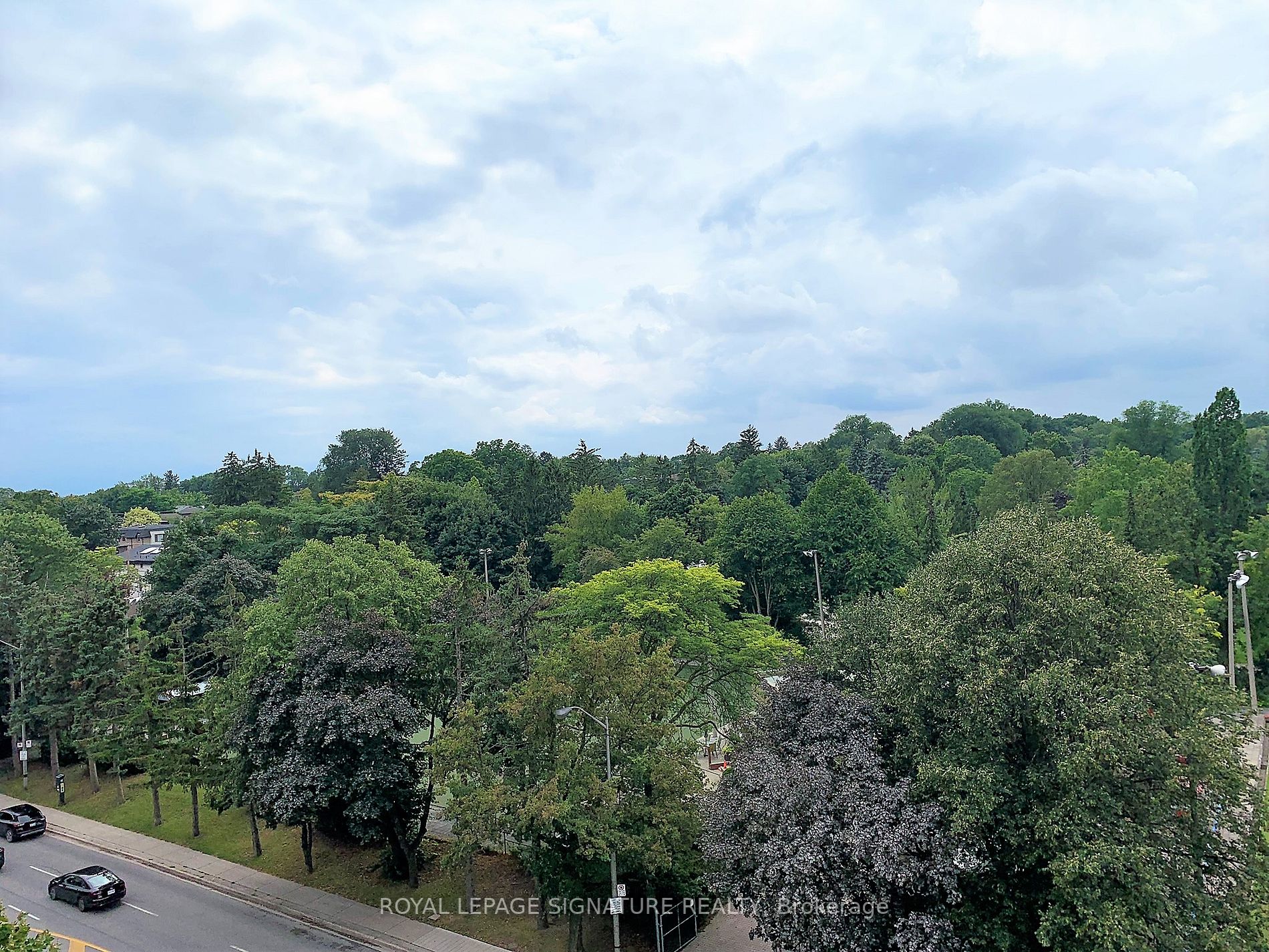153 Beecroft Rd, #805