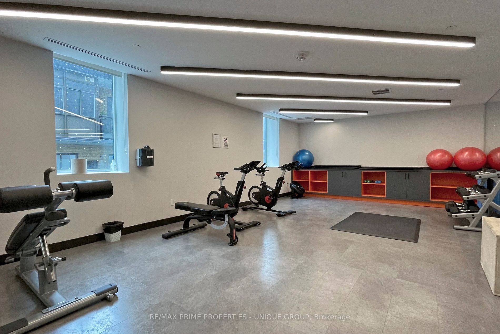 11 Lillian St, #310