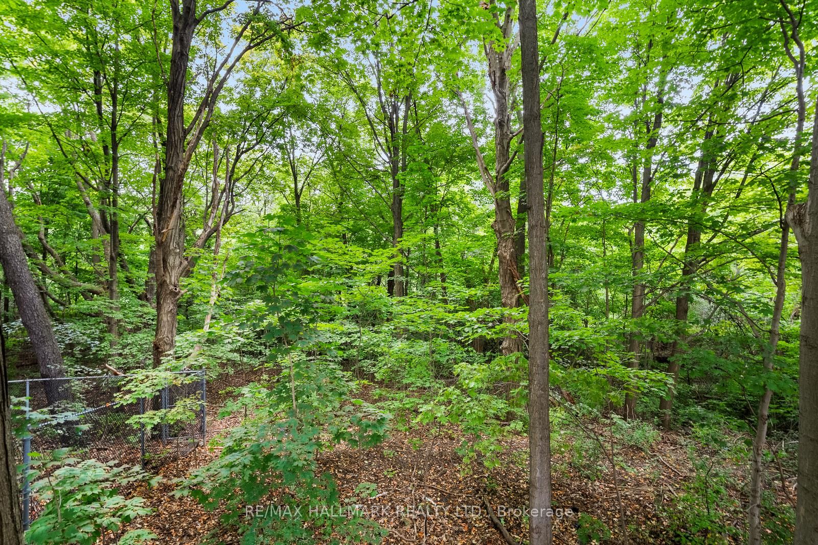 86 Bannatyne Dr