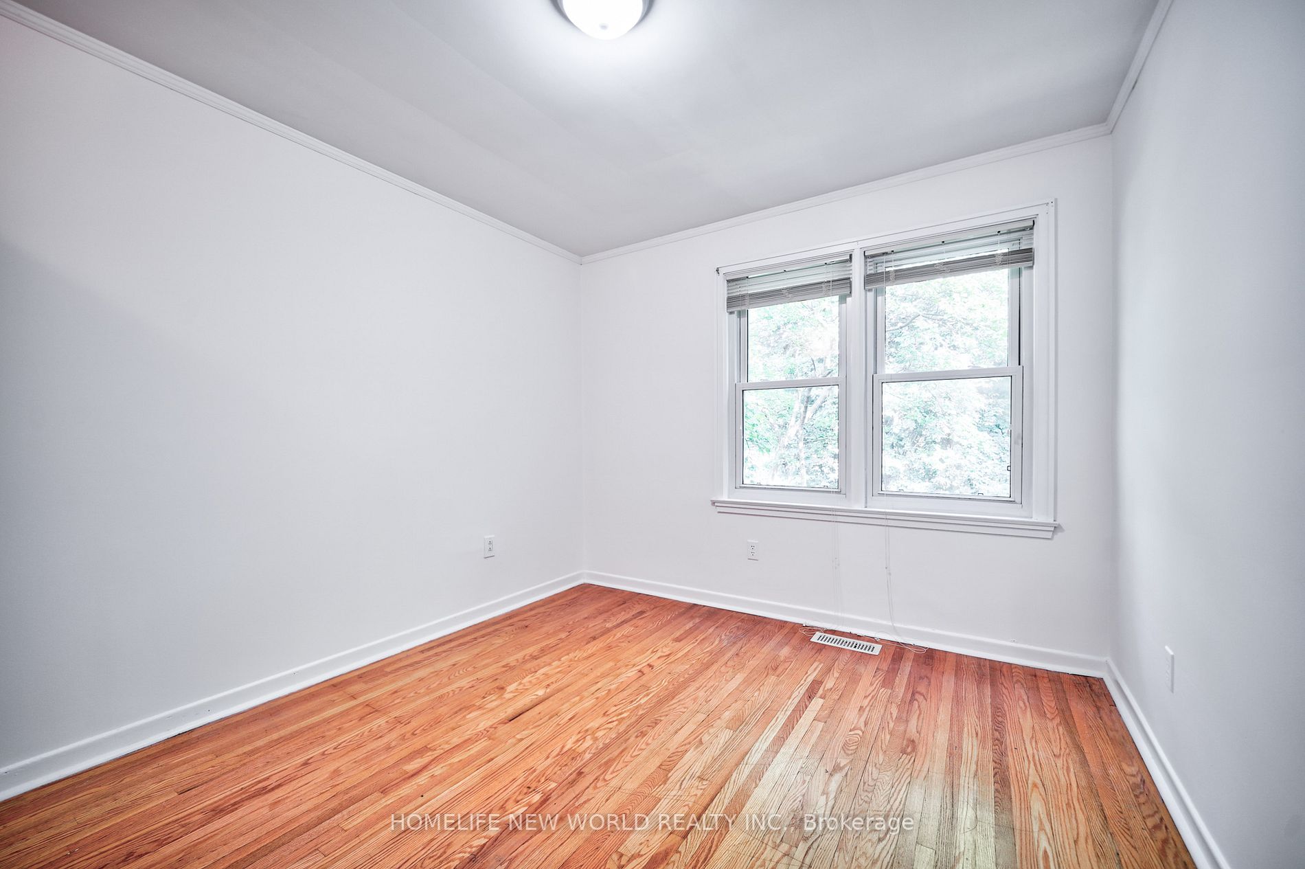 91 Elmsthorpe Ave