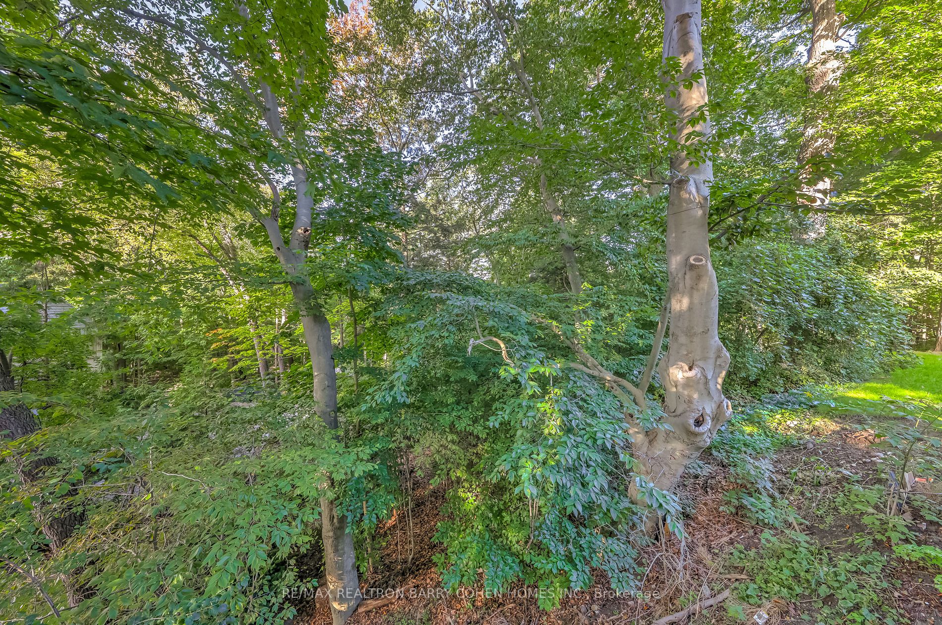 17 Artinger Crt