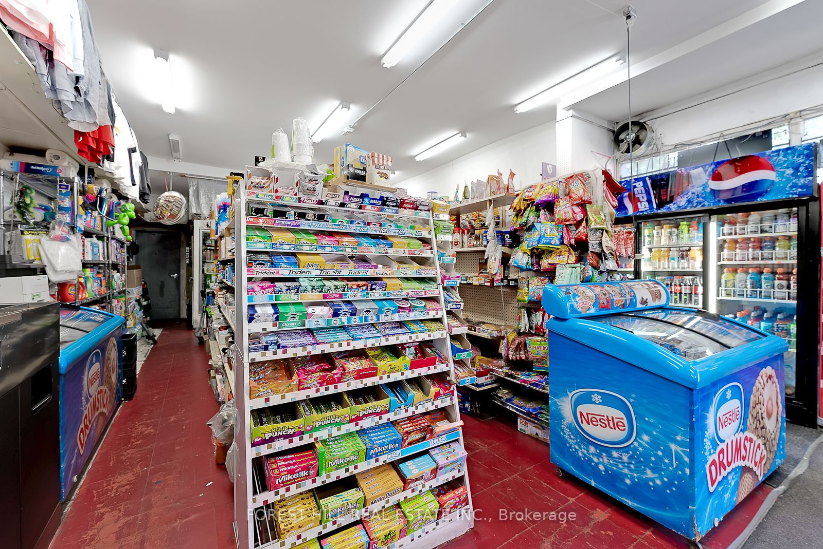 237 Gerrard St E