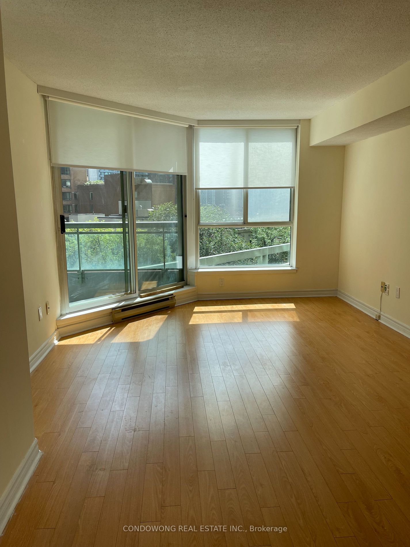 38 Elm St, #411