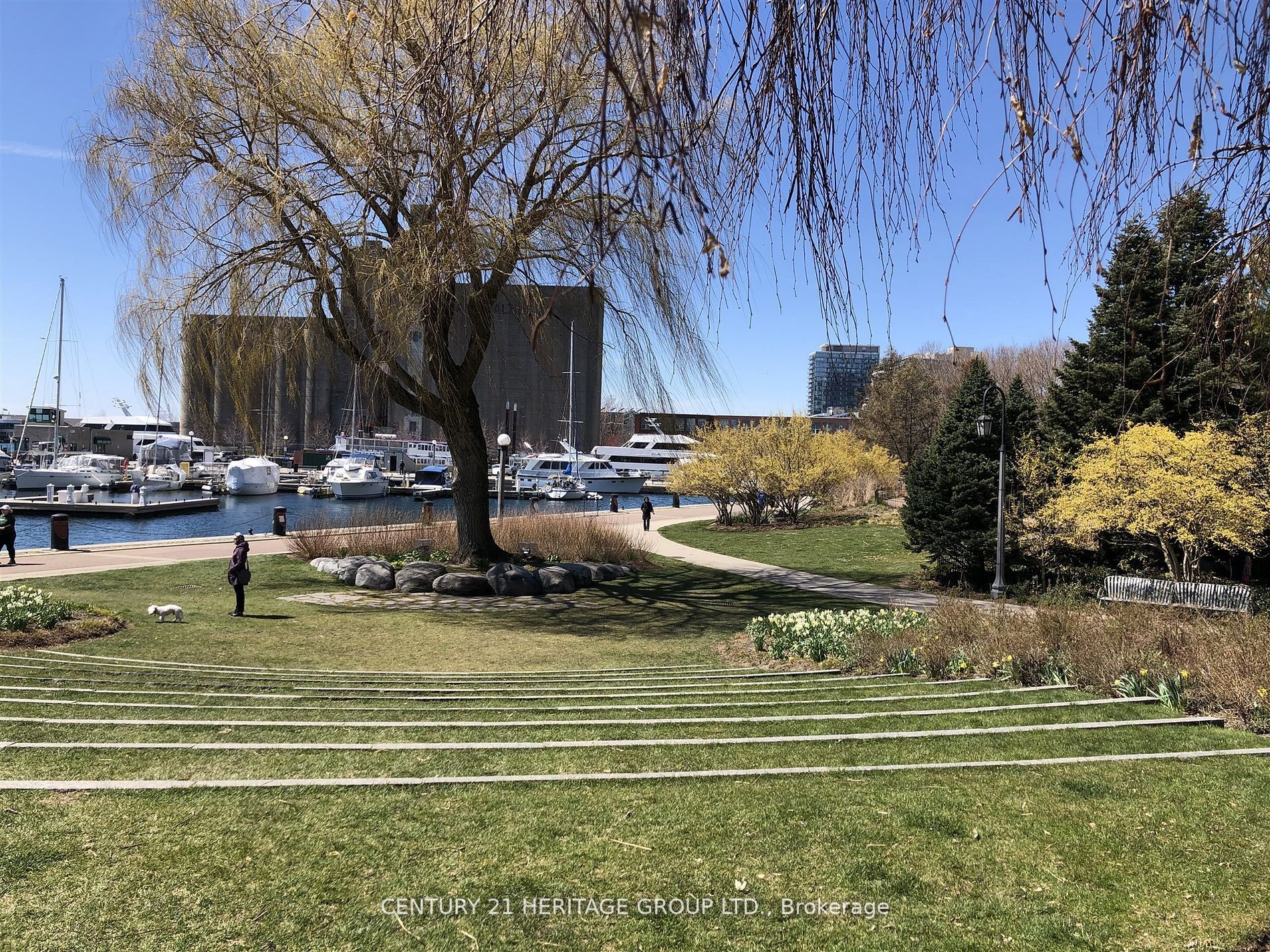 85 Queens Wharf Rd, #806