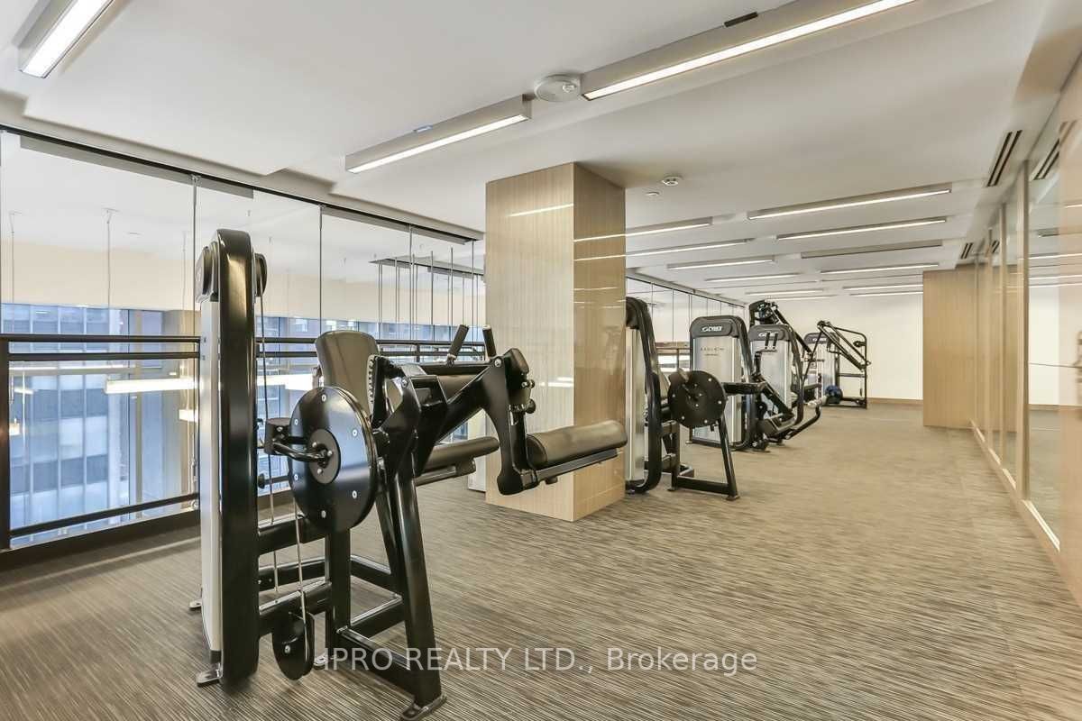 98 Lillian St, #1019