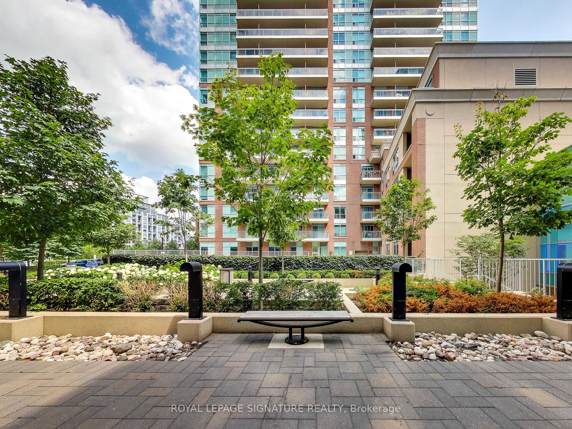 50 Lynn Williams St, #219