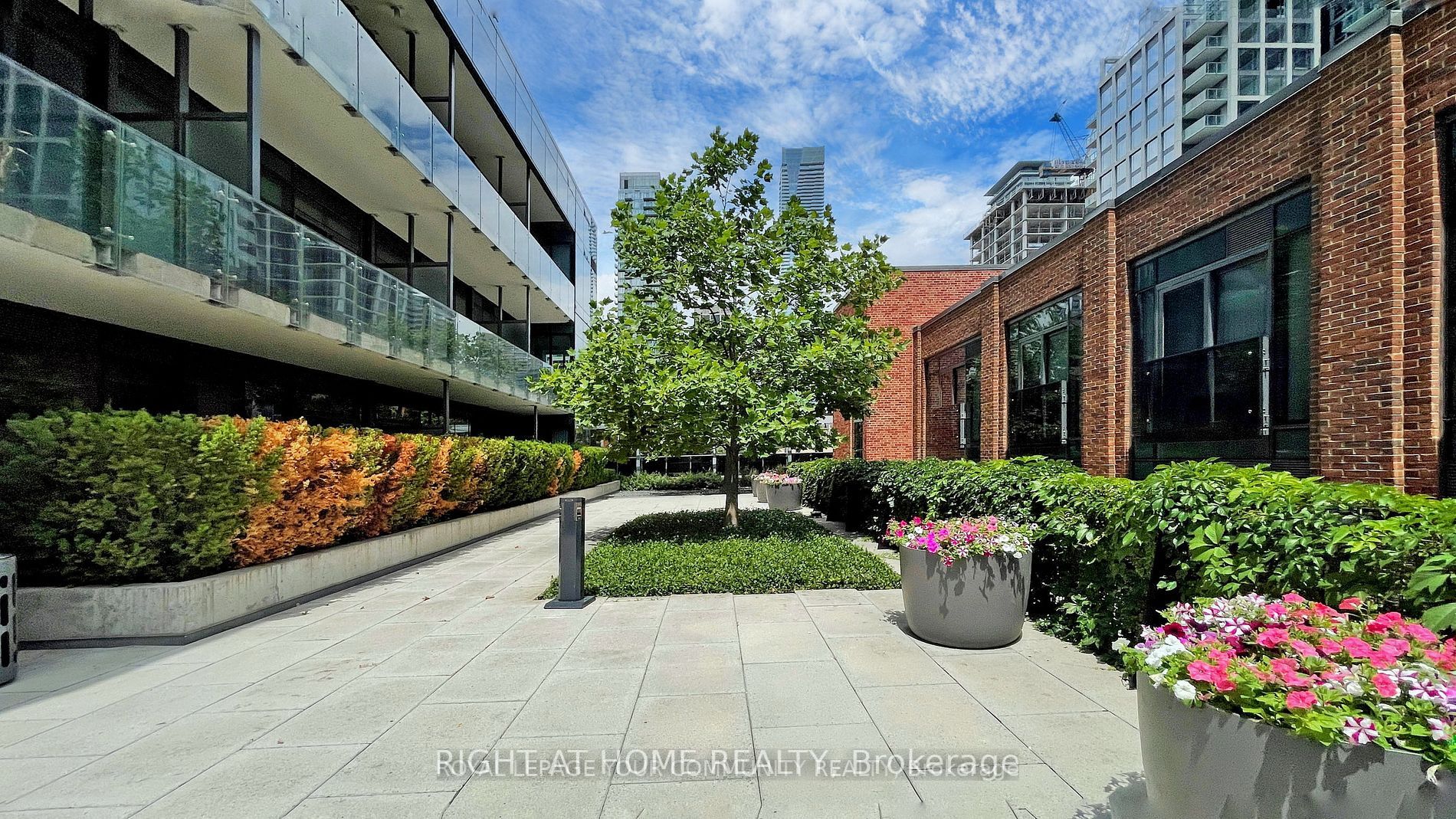 5 St. Joseph St, #1509