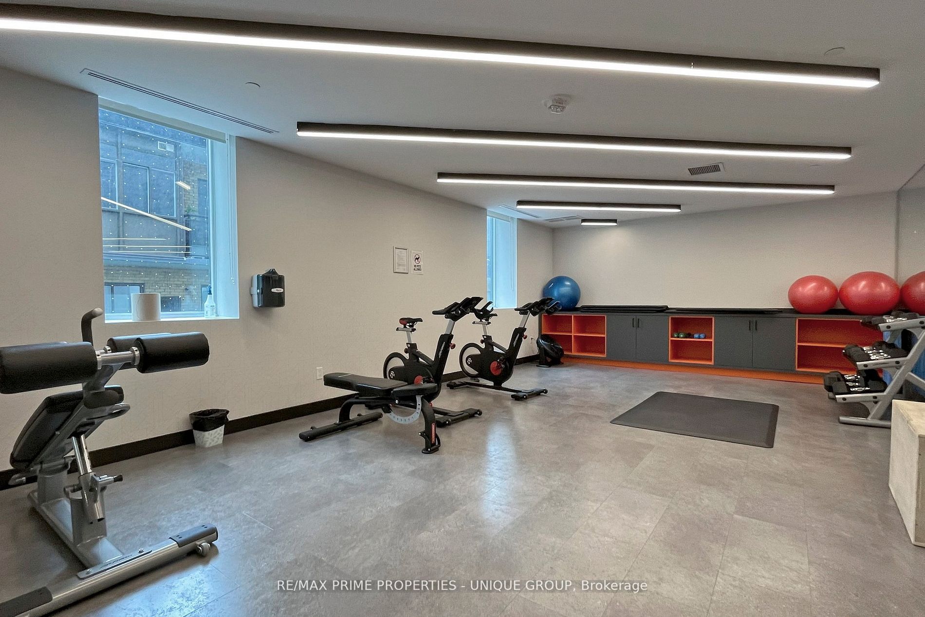 11 Lillian St, #310