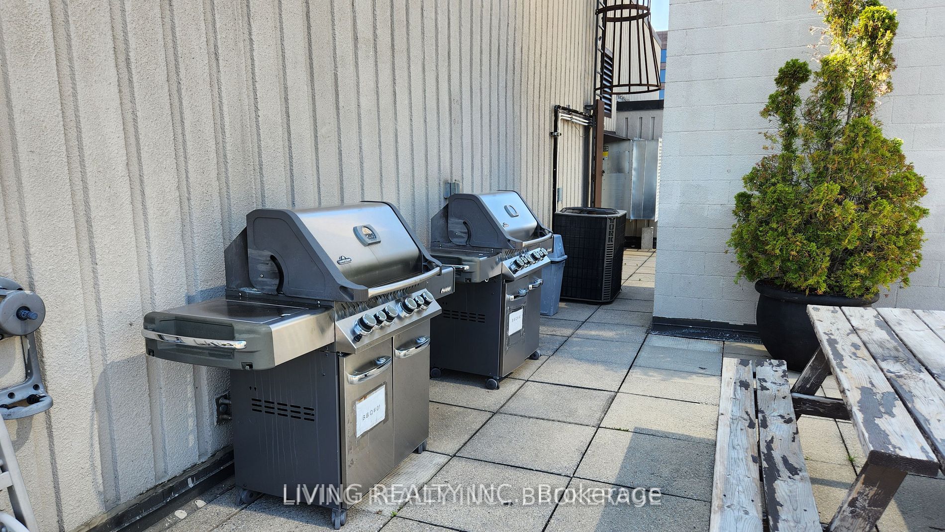 71 Charles St E, #1204