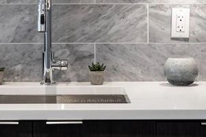 38 Iannuzzi St, #306