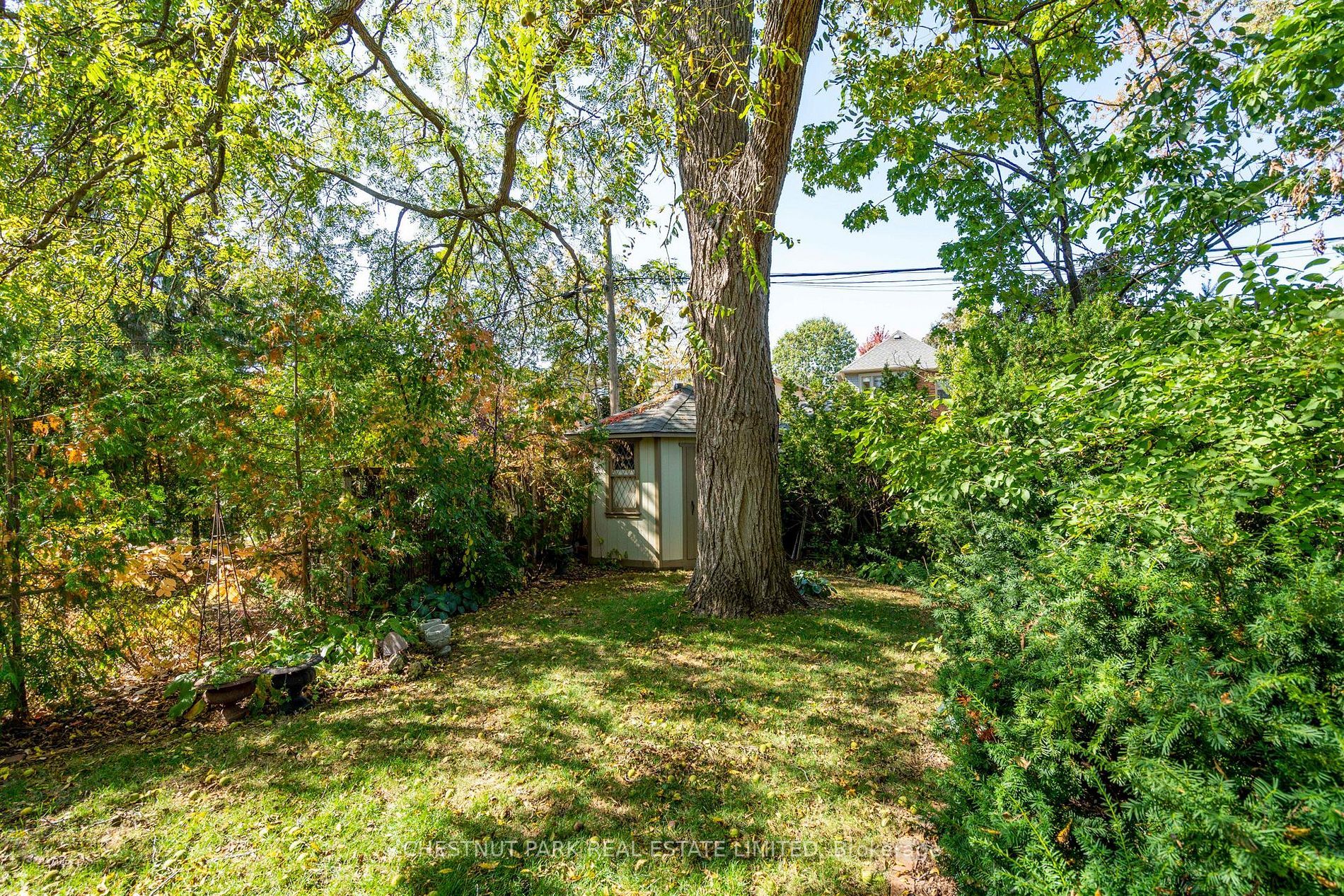 24 Cameron Cres