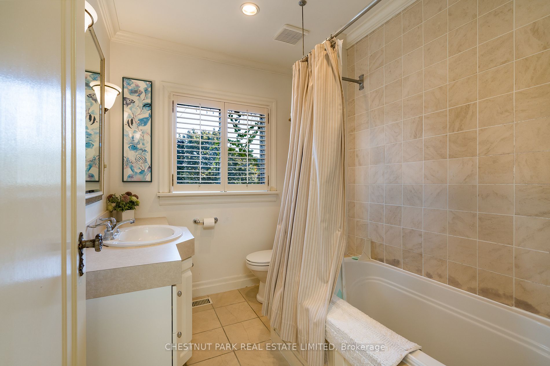 24 Cameron Cres