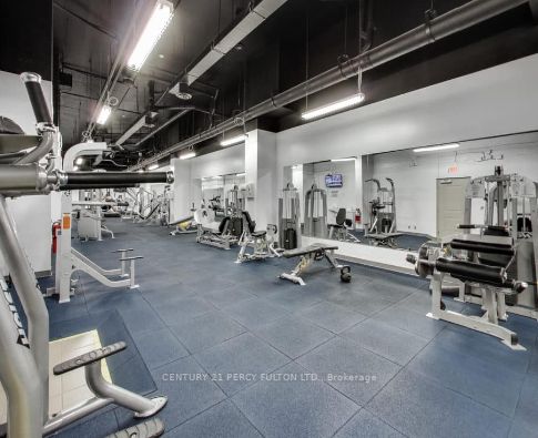 75 East Liberty St, #303