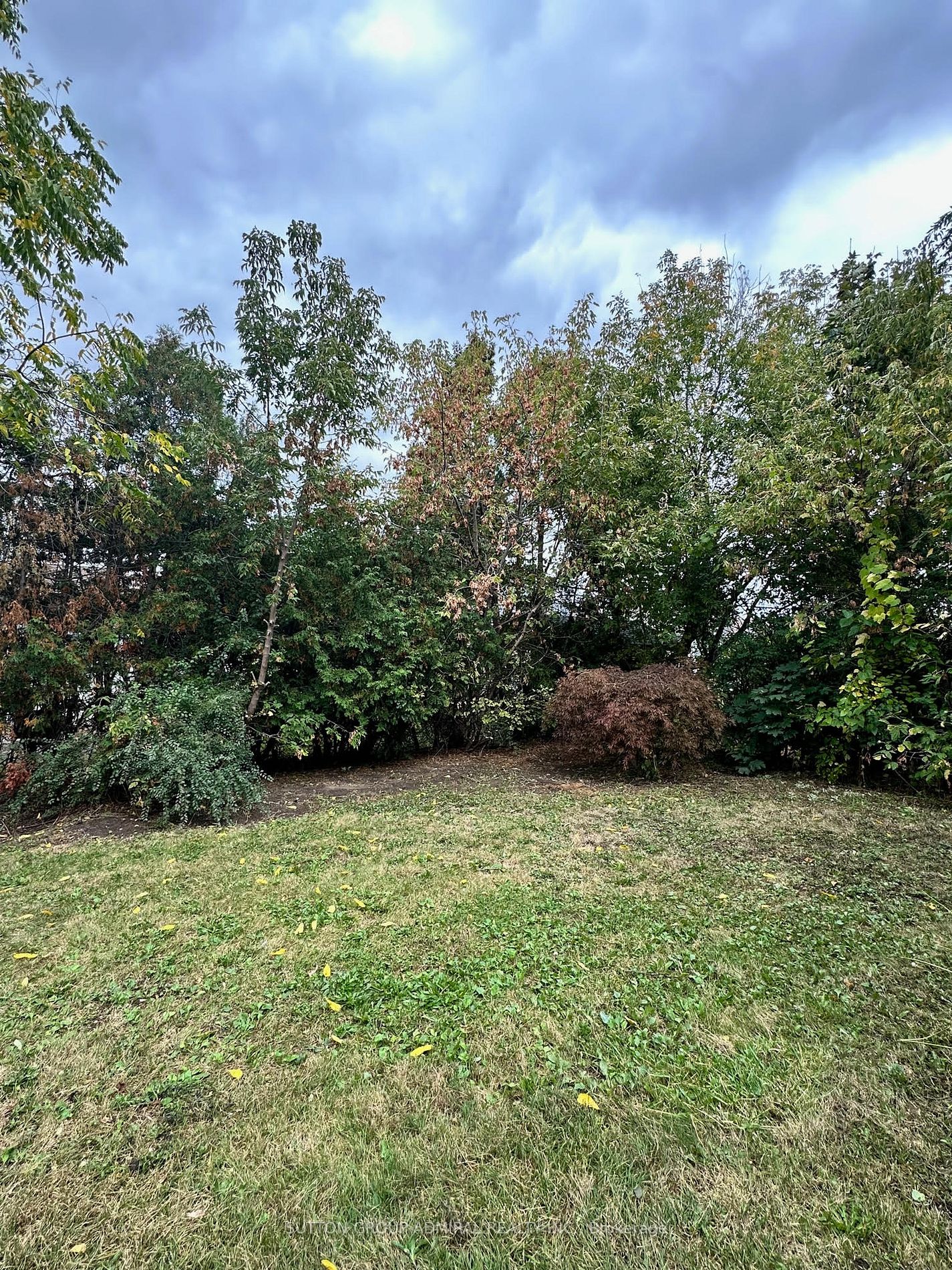 238 Searle Ave