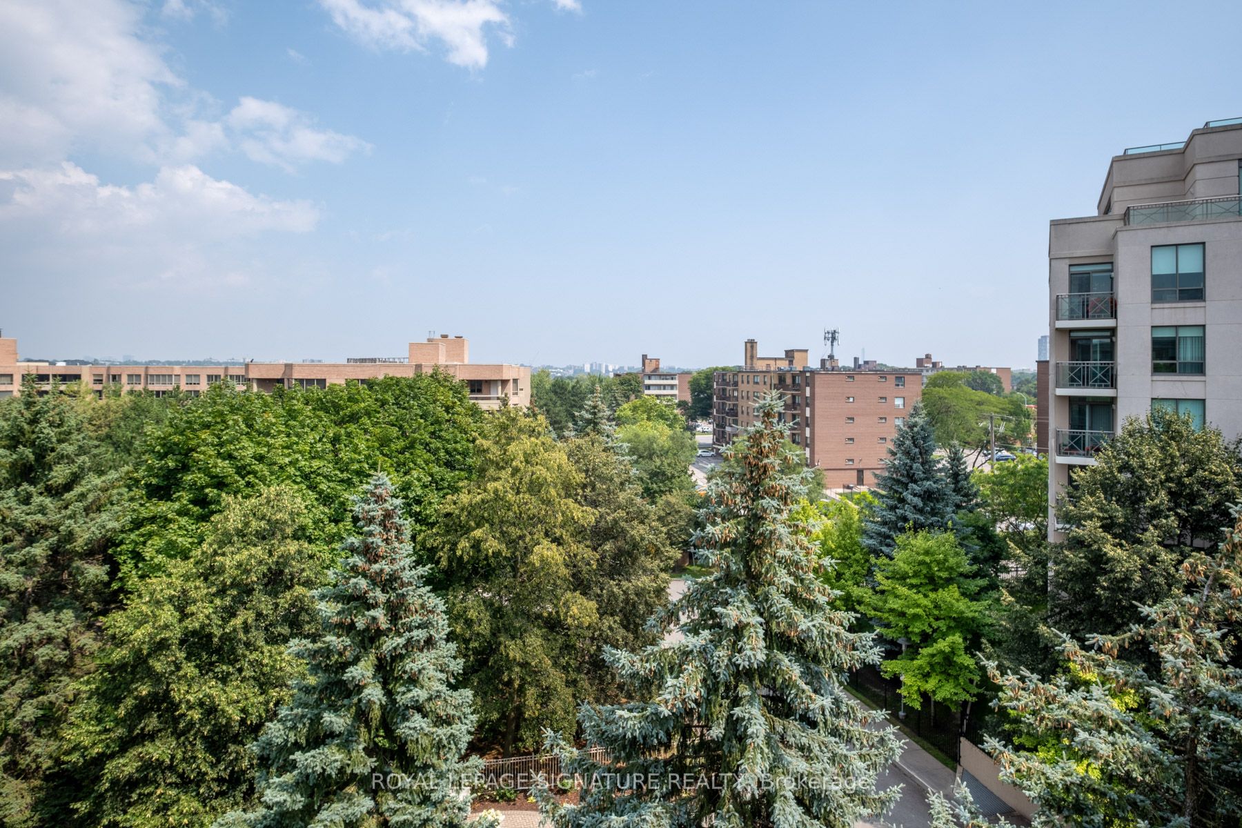 215 The Donway W, #607