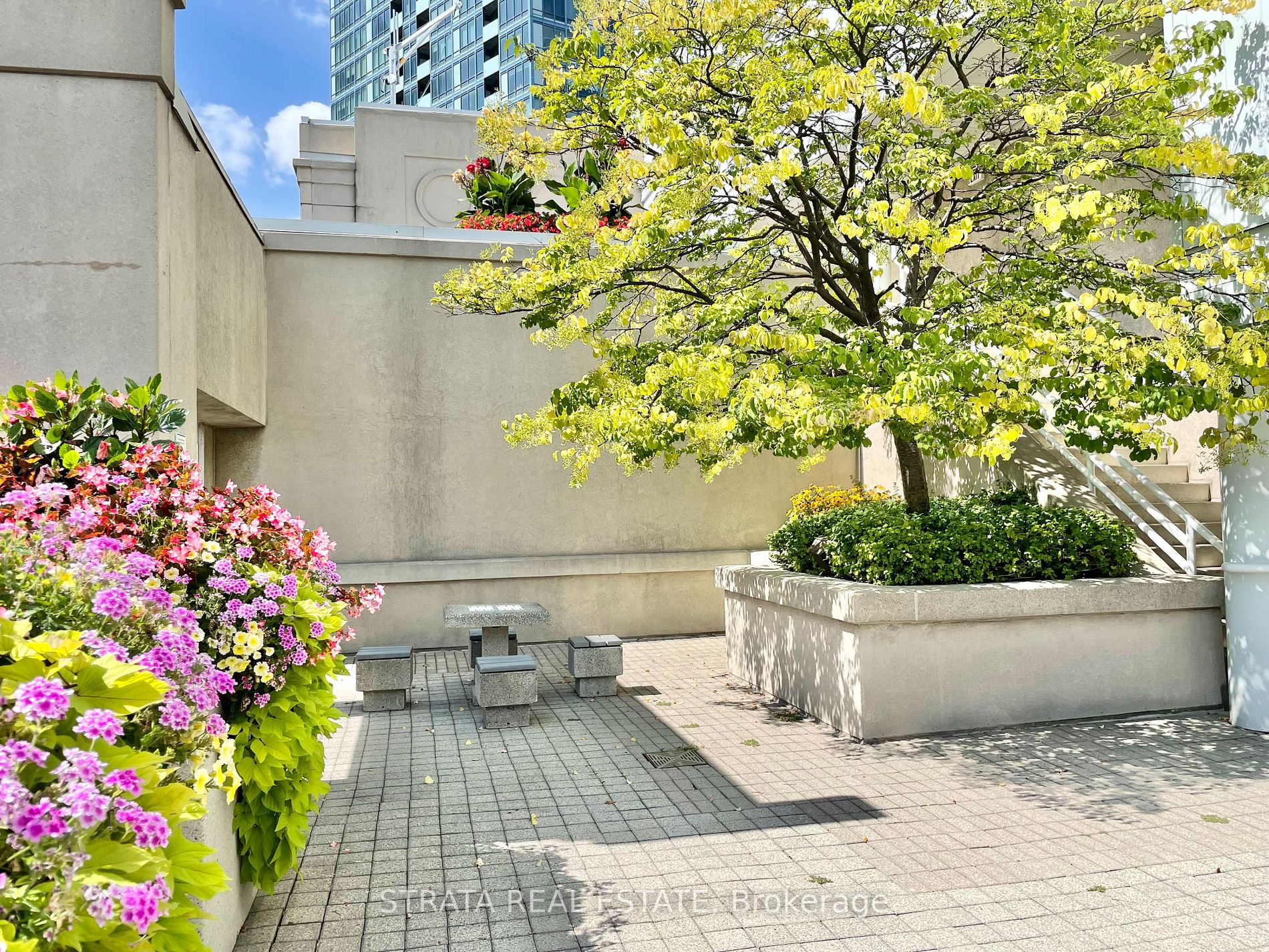 25 The Esplanade, #3116