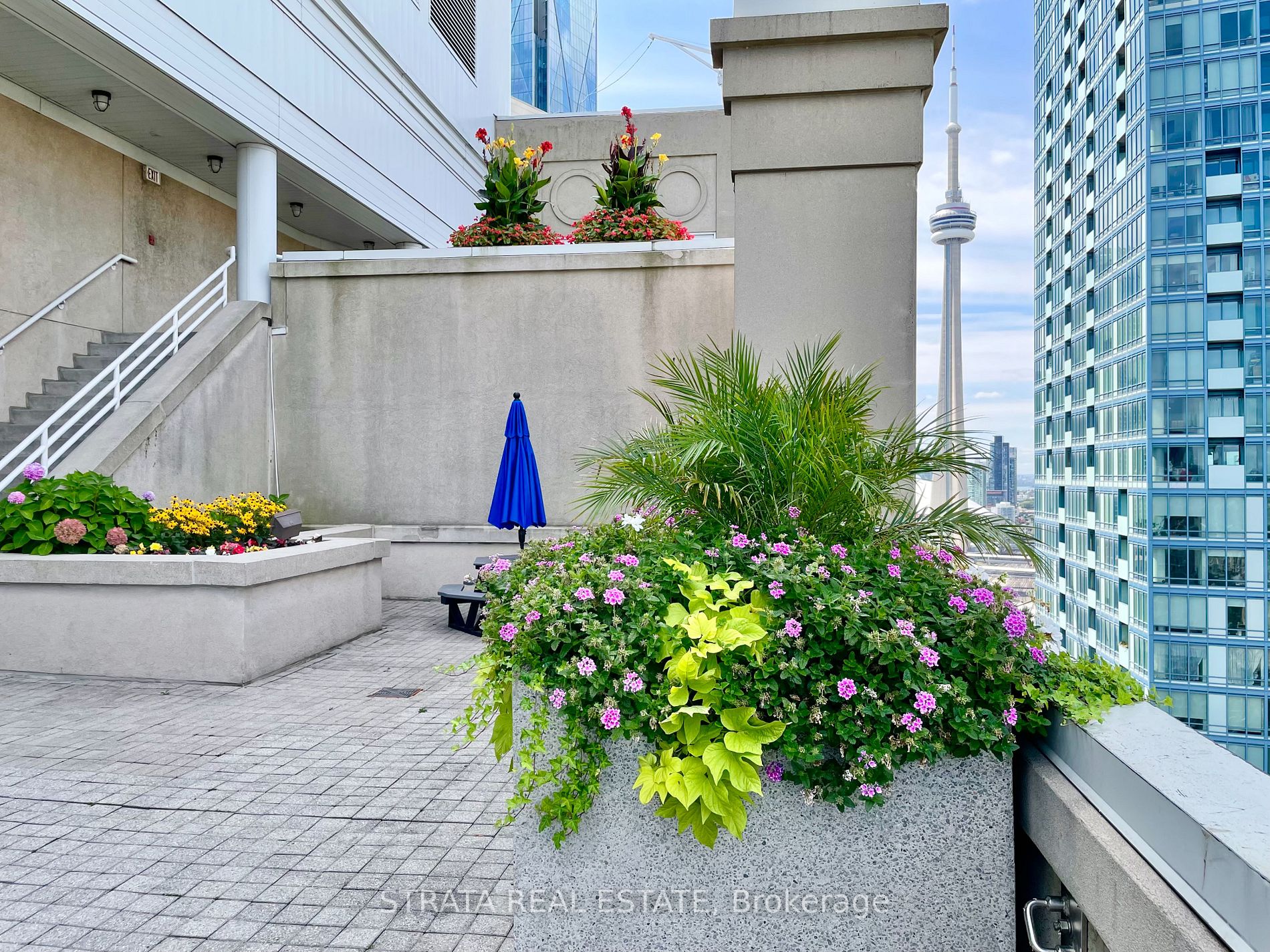 25 The Esplanade, #3116