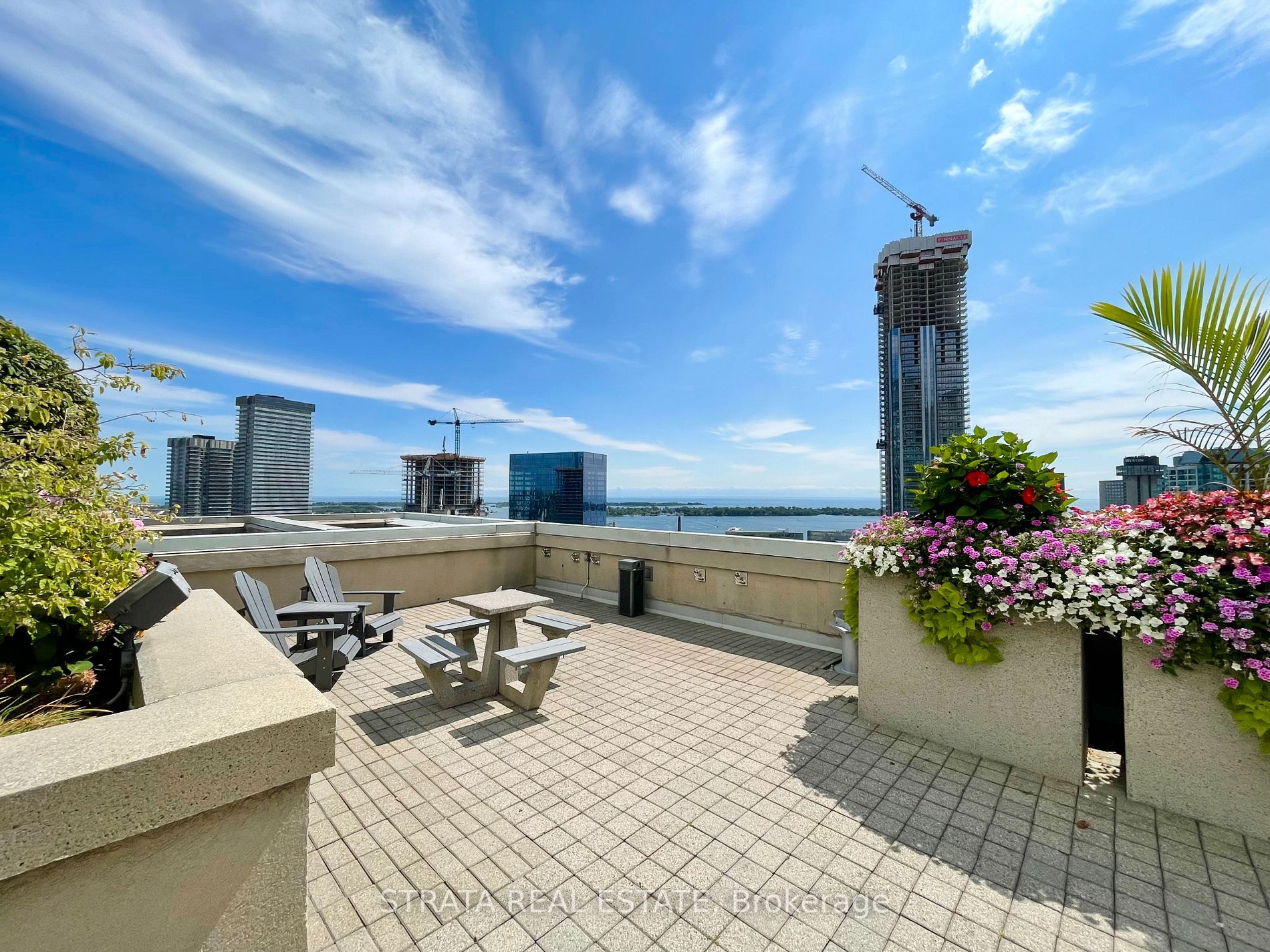 25 The Esplanade, #3116