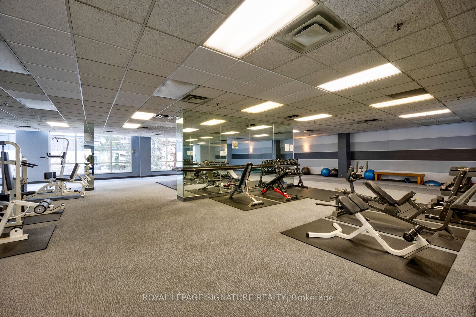 7 Carlton St, #306