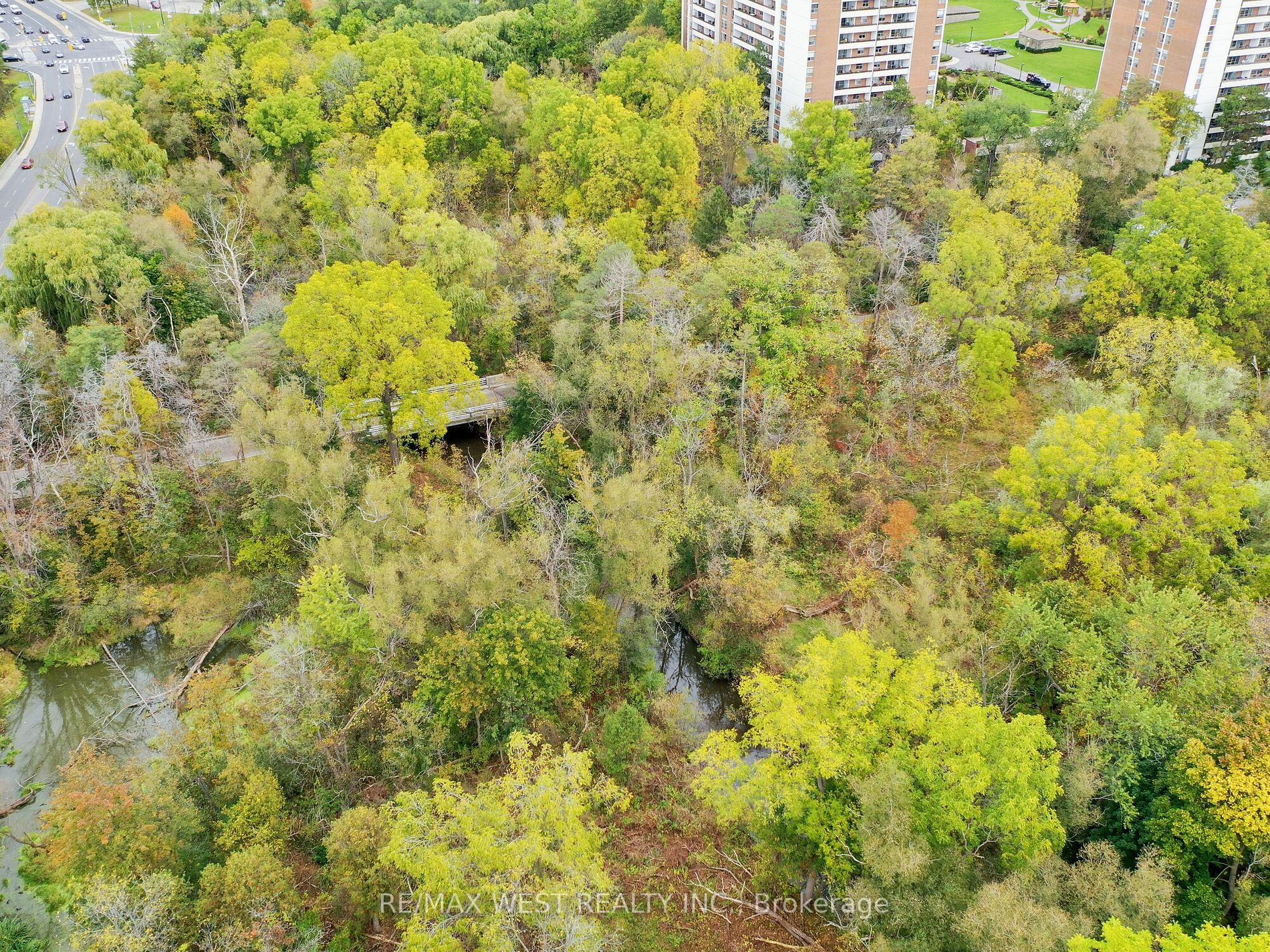 703 Conacher Drive