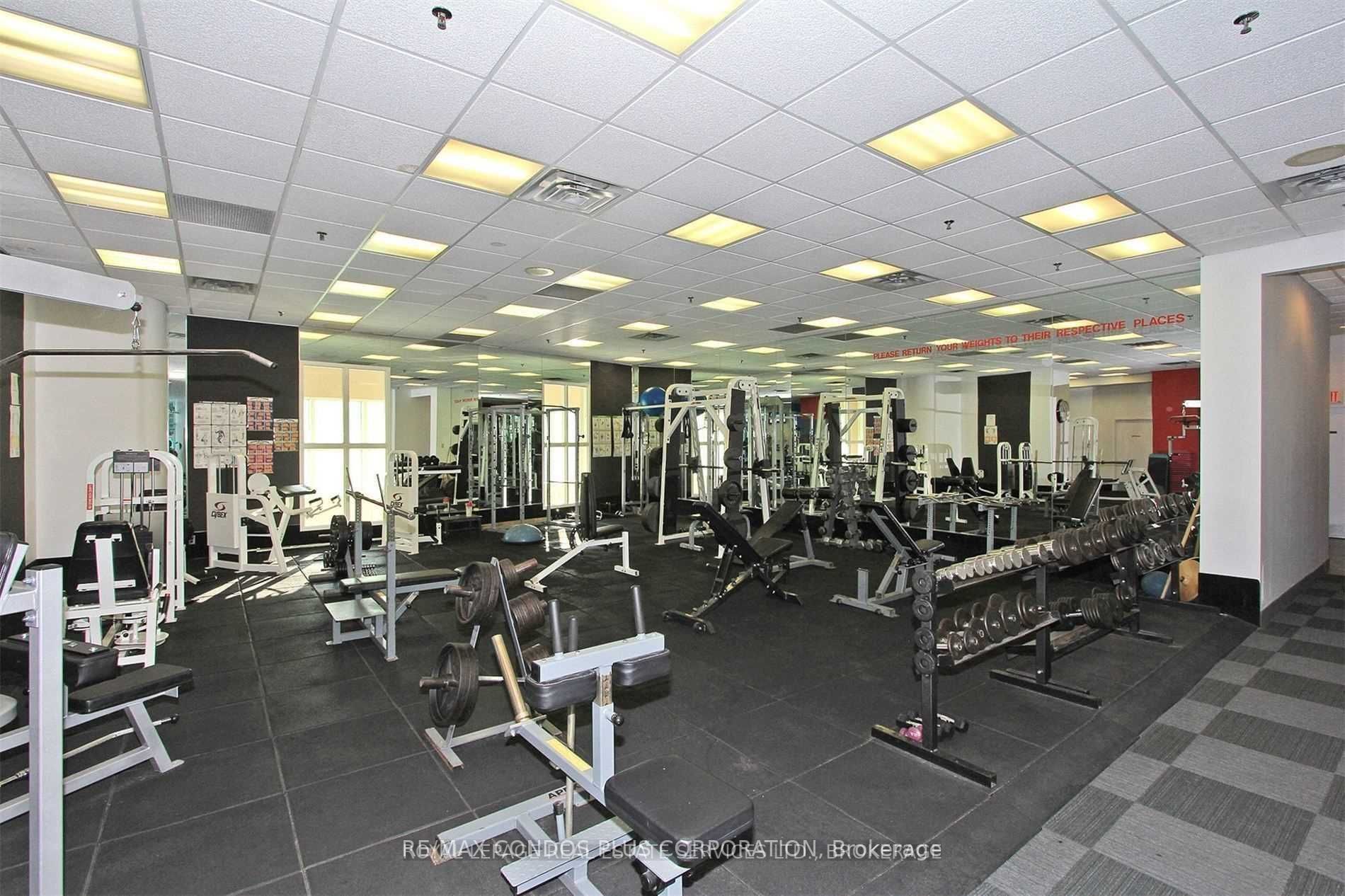 77 Harbour Sq, #502