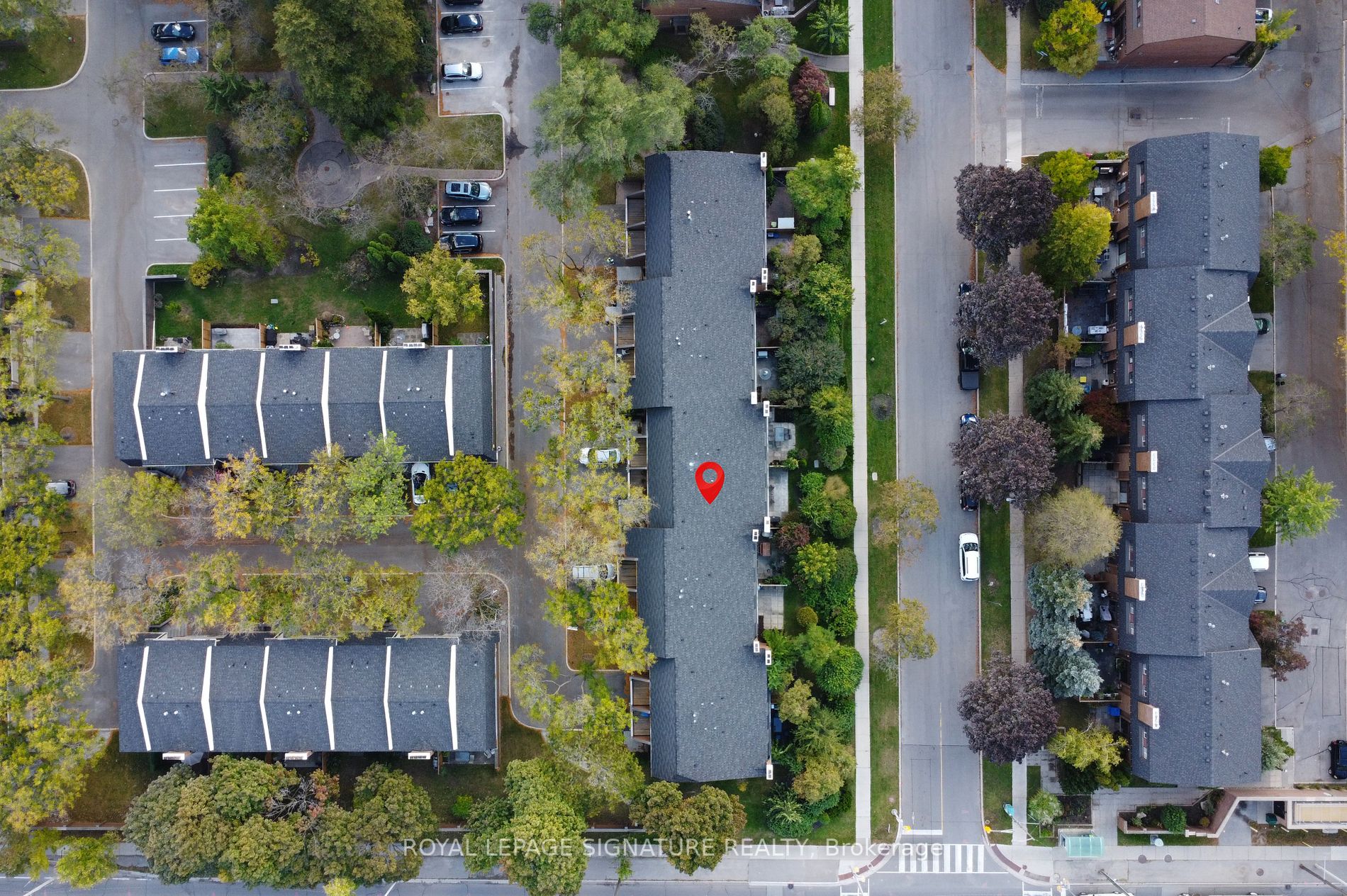 70 Flaming Rose Way, #16