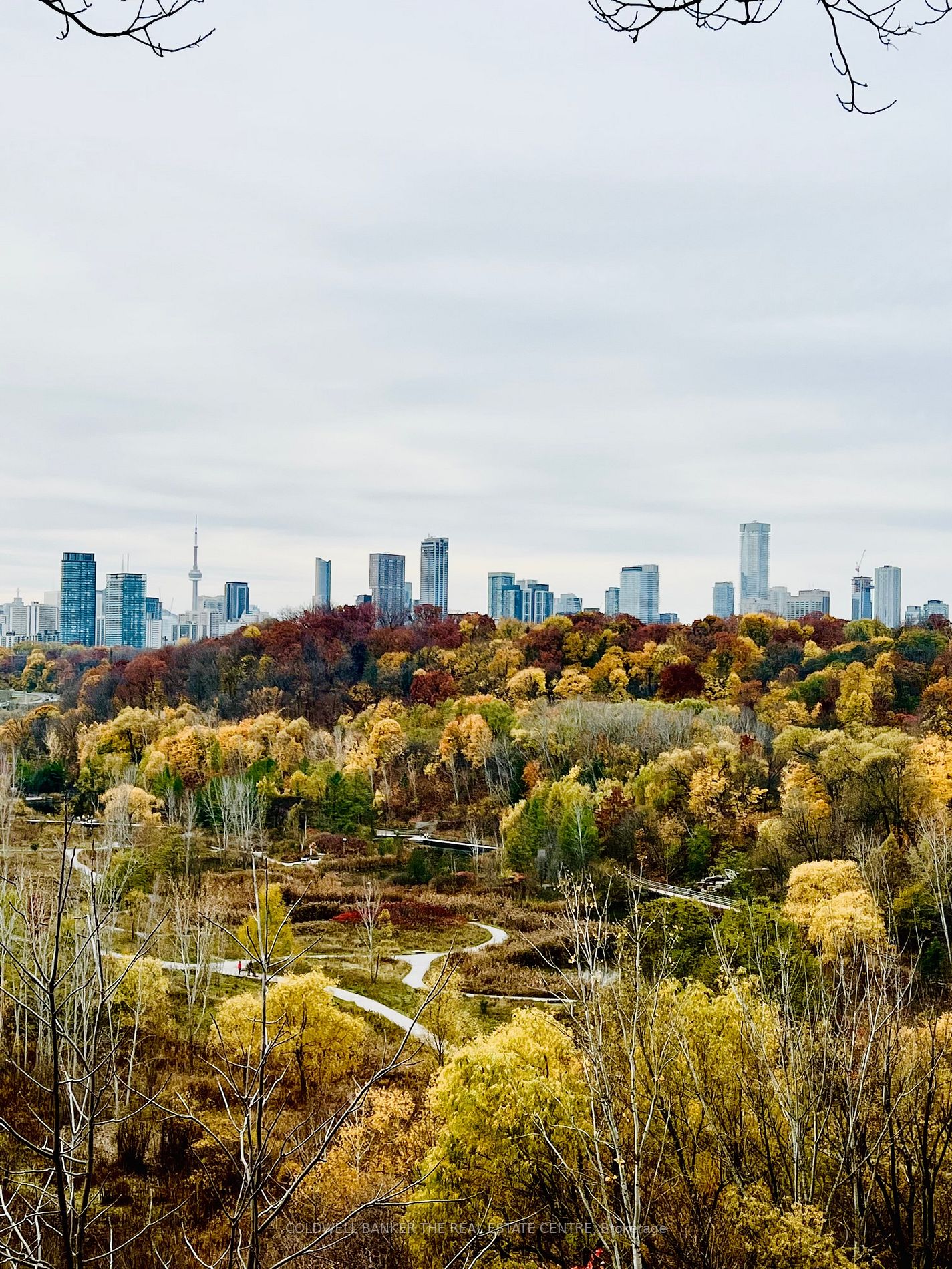 93 Douglas Cres, #93B