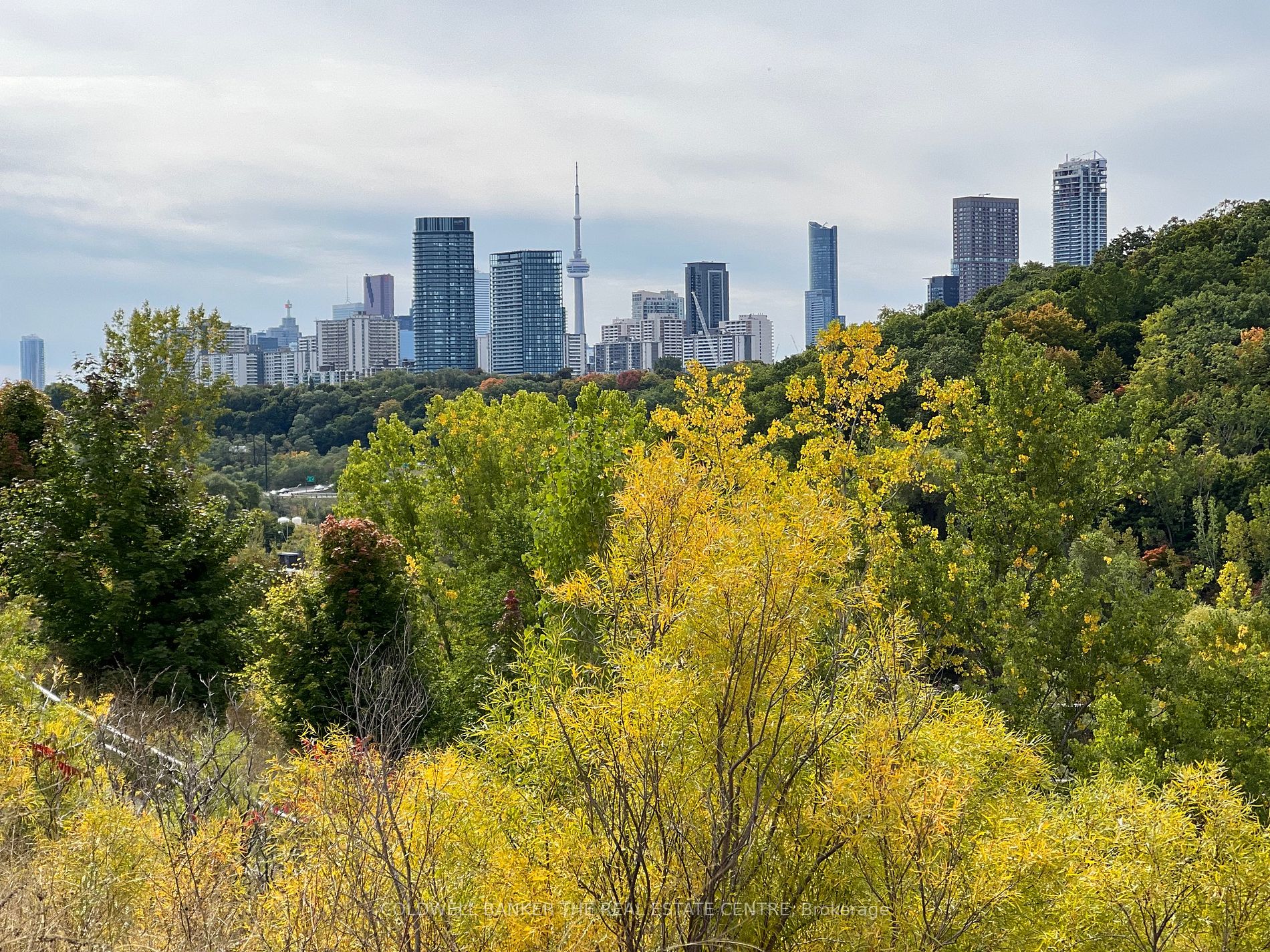 93 Douglas Cres, #93B