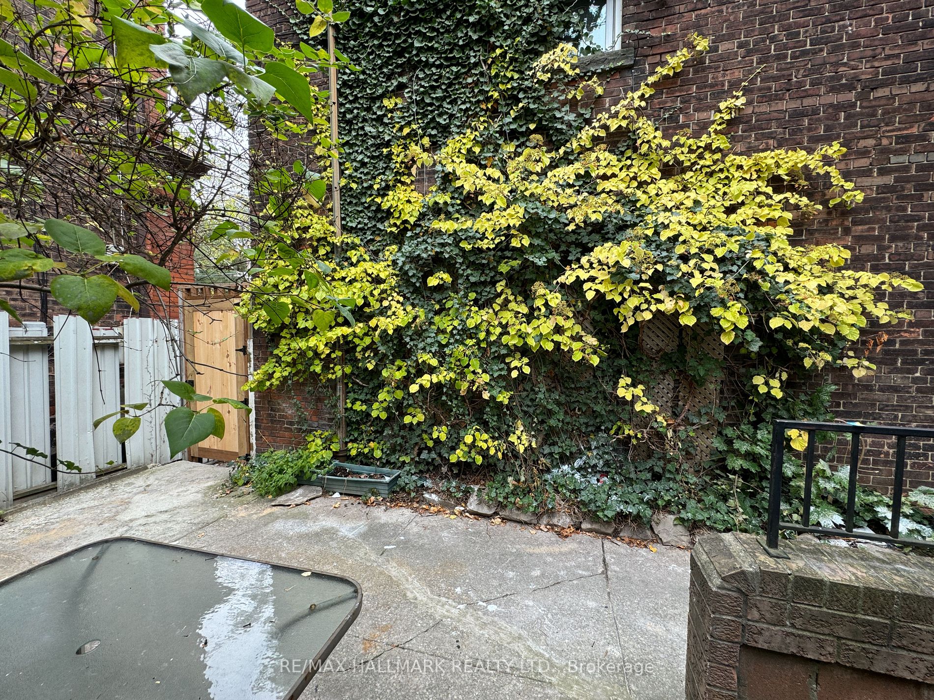 3 Beatrice St, #Main