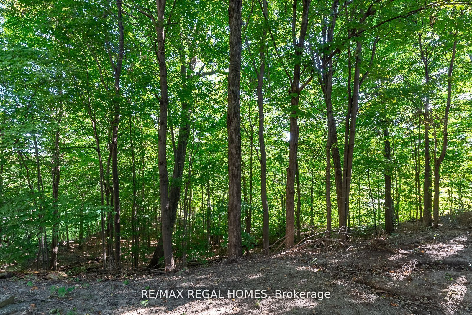 57 Windy Golf Way E, #3
