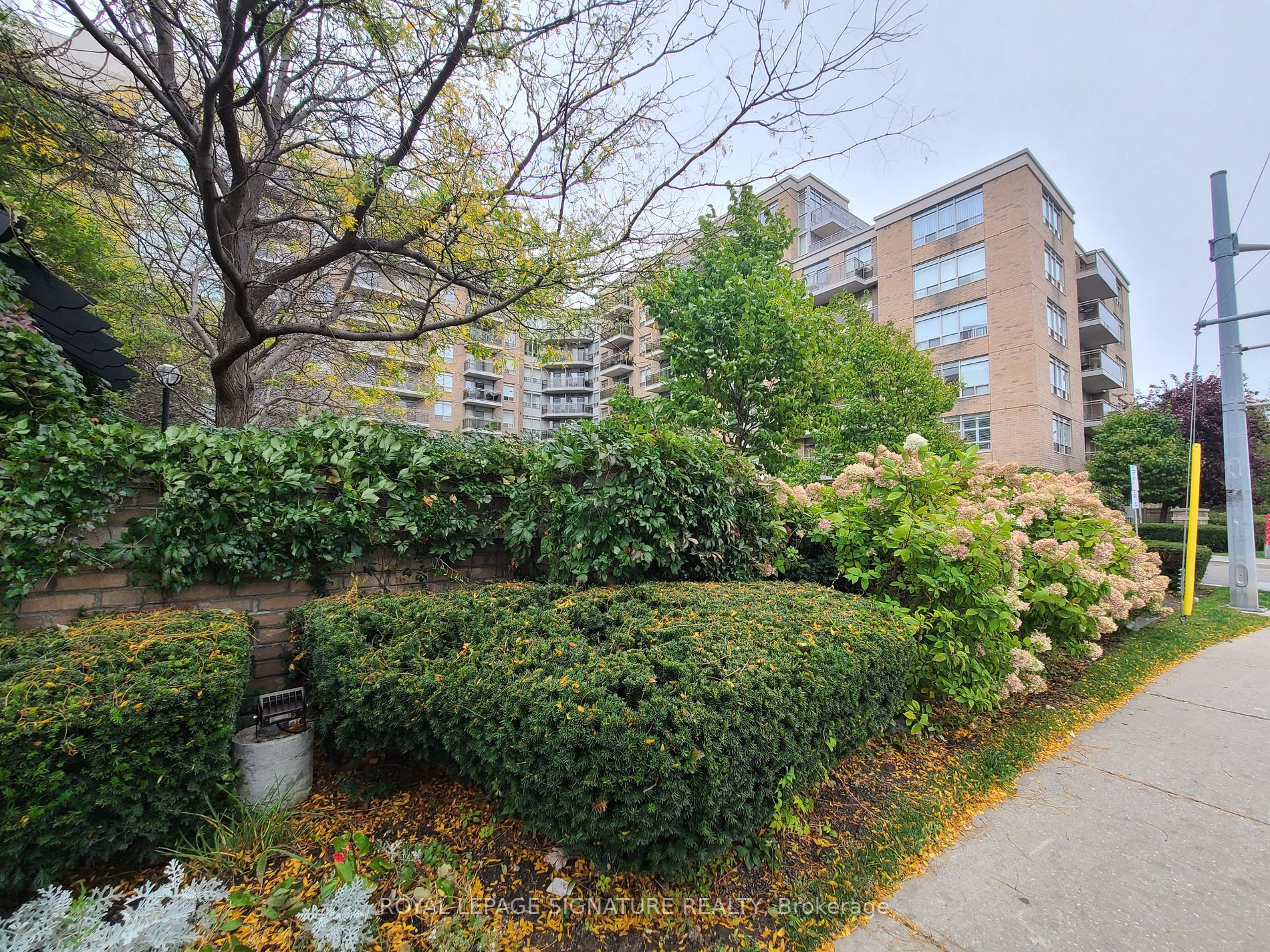 650 Lawrence Ave W, #238