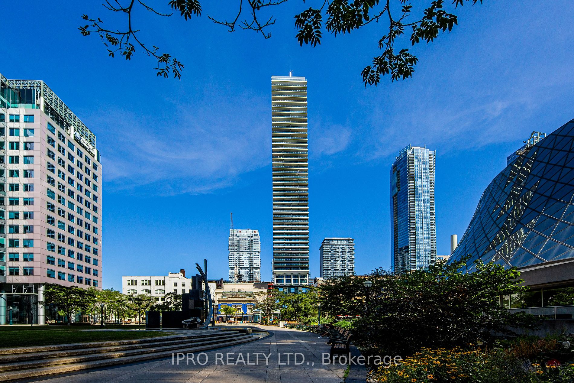 224 King Street W, #501