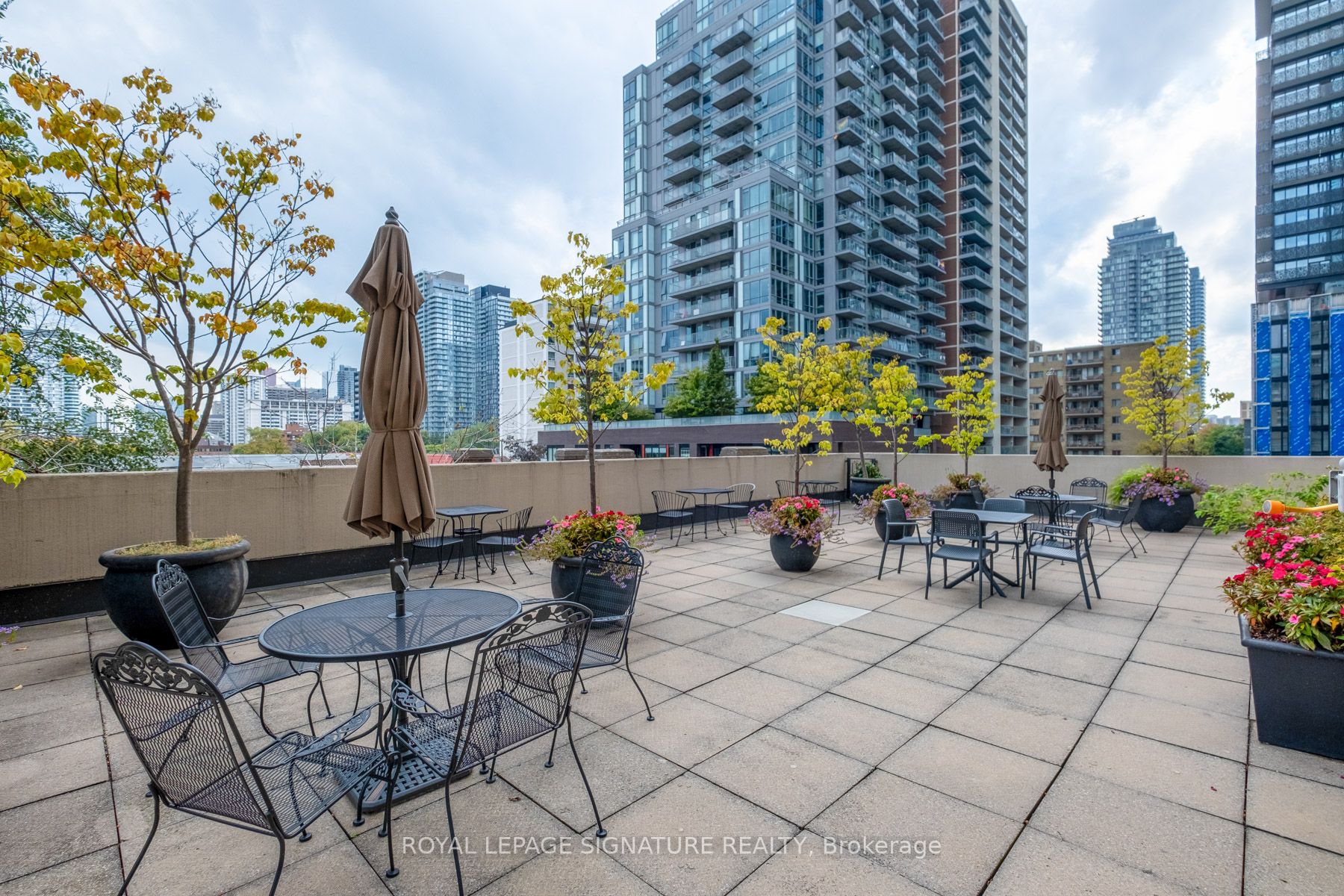 71 Charles Street E, #905