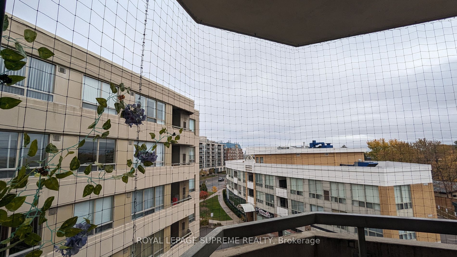 555 Wilson Hts Blvd, #402