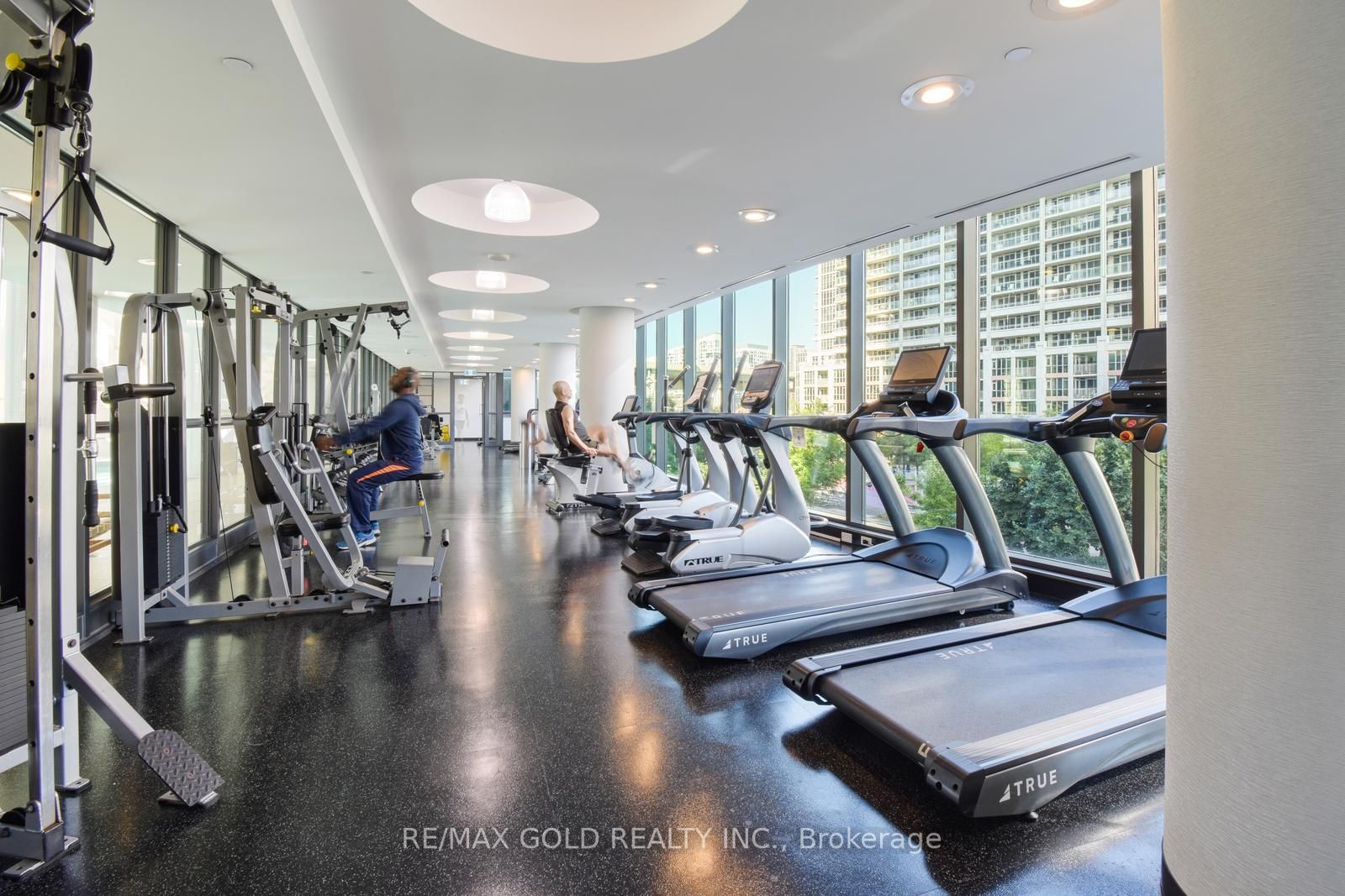 209 Fort York Blvd, #372