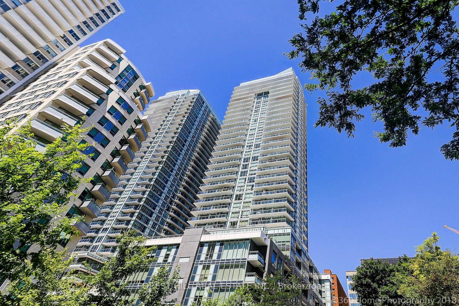 98 Lillian St, #3315