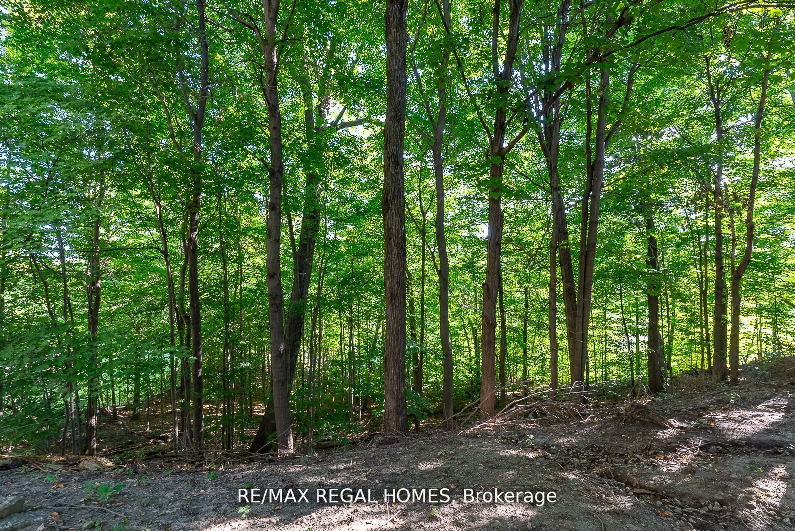 57 Windy Golf Way E, #3
