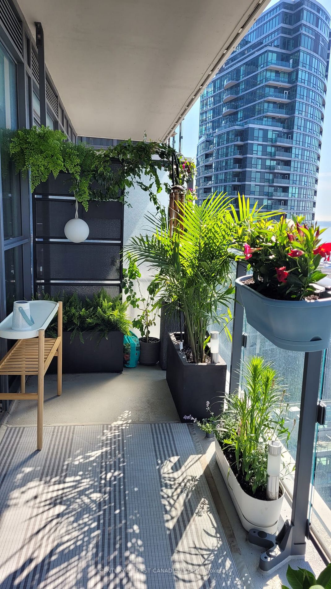 38 Iannuzzi St, #2212